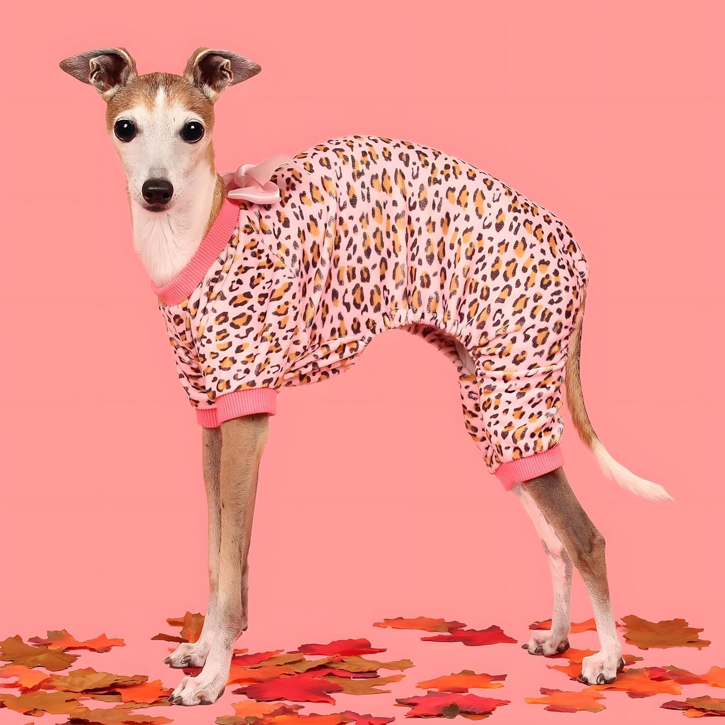 Fitwarm Leopard Dog Pajamas, Fleece Dog Clothes for Small Dogs Girl with Legs, Pet Onesie, Cat Outfit, Pink, Large