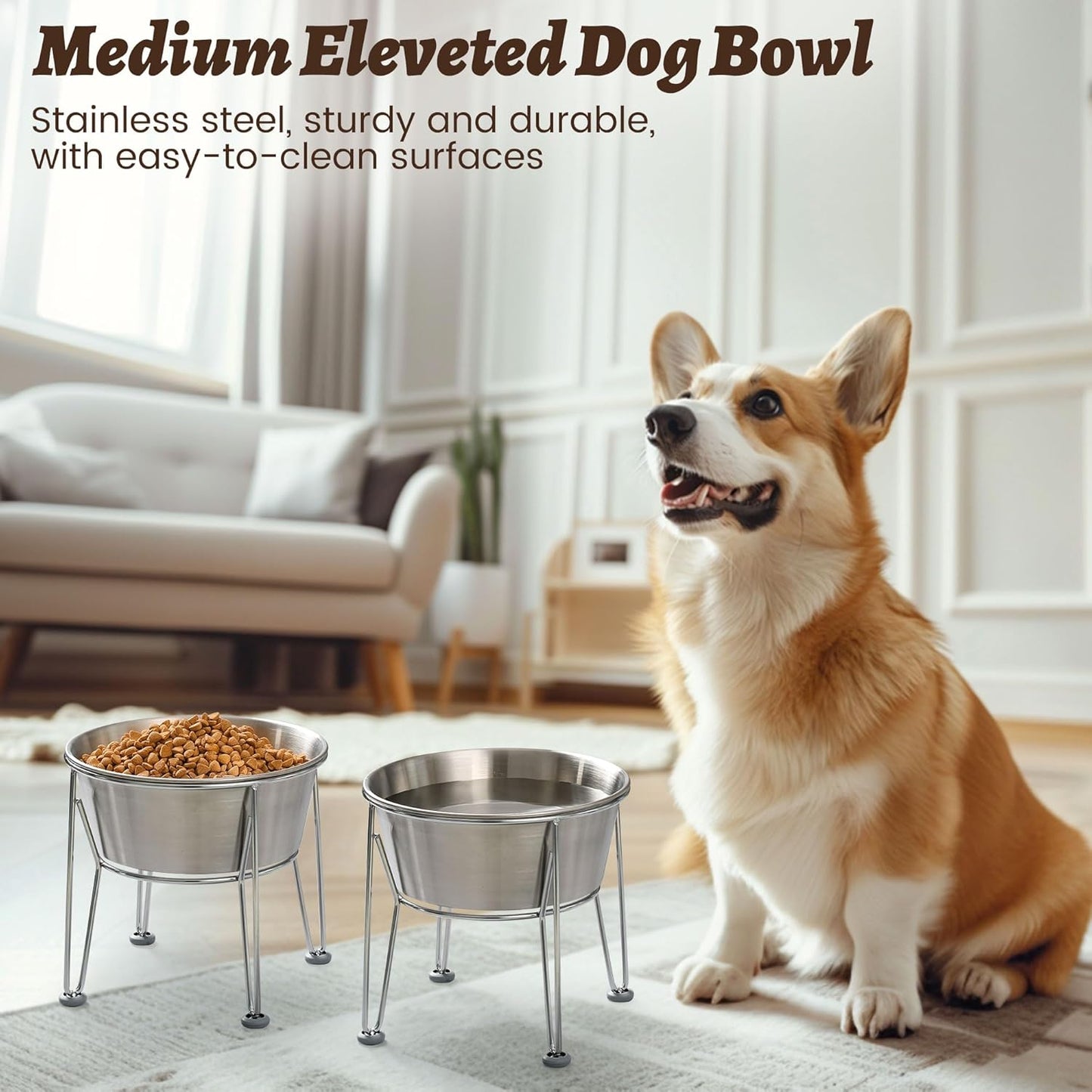 Elevated Dog Bowls for Medium&Small Dogs - Stainless Steel 48oz/6 Cups Raised Feeder with Non-Slip Base, Dual Food & Water Bowls 2-Pack