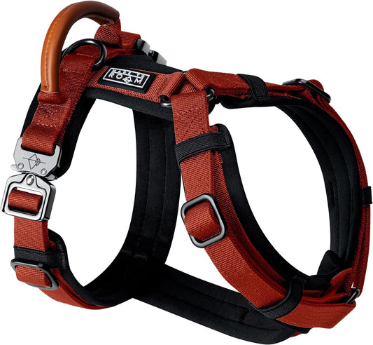 MADE TO ROAM Premium Explorer Harness - Y-Shaped Dog Harness with Adjustable Durable Nylon, Soft Padding, Metal Buckles and Leather Handle for Small, Medium, Large Dogs (Texas Flair, Size 1)