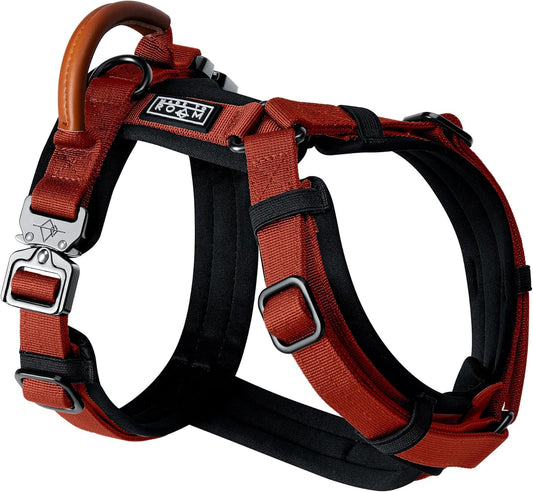 MADE TO ROAM Premium Explorer Harness - Y-Shaped Dog Harness with Adjustable Durable Nylon, Soft Padding, Metal Buckles and Leather Handle for Small, Medium, Large Dogs (Texas Flair, Size 5)