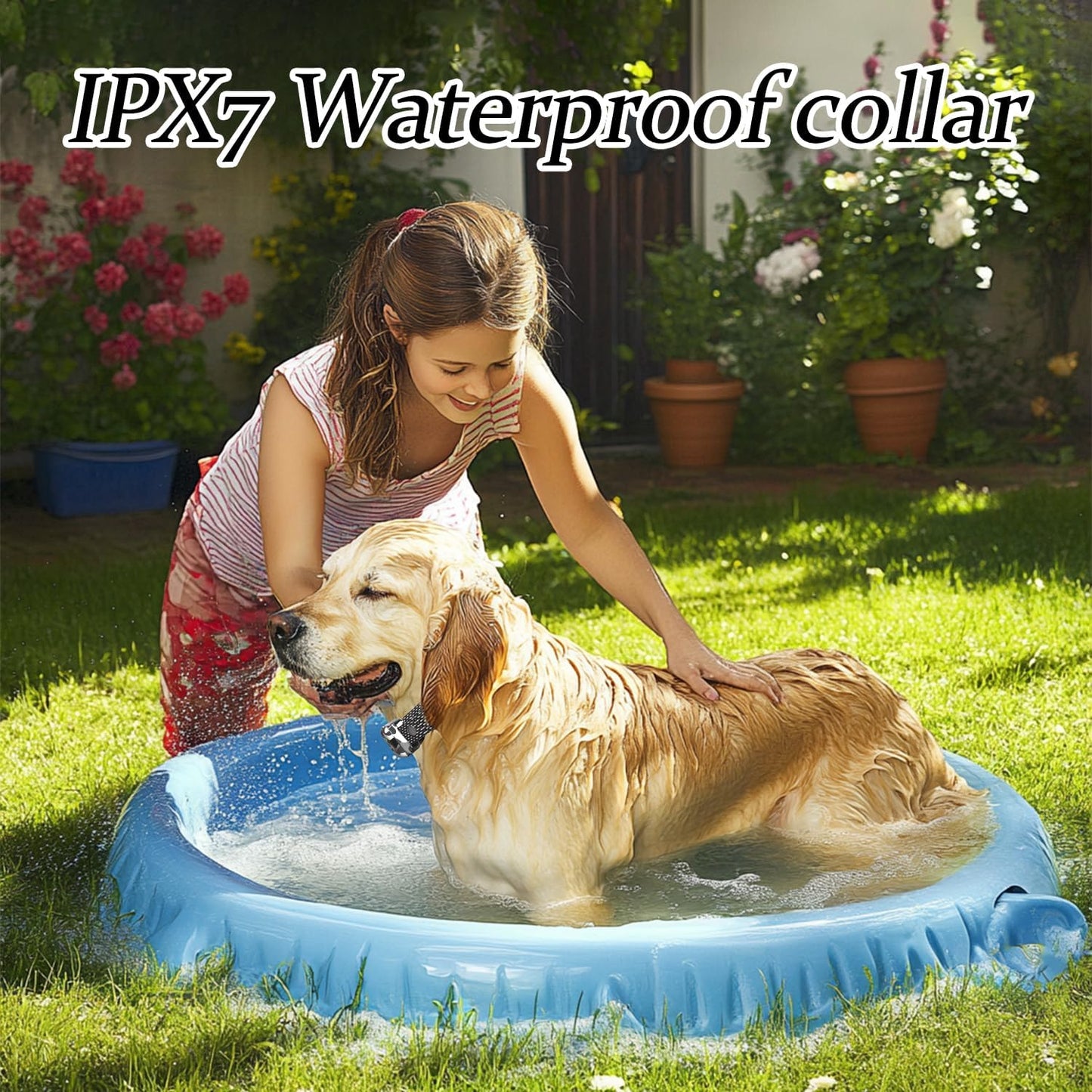 Wireless Dog Fence & Ultrasonic Training Collar -1160-Yard Adjustable Boundary for Outdoor, 6100FT Remote, 4 Modes (Beep/Vibration/Static/Ultrasonic), IPX7 Waterproof, 185-Day Standby, 2 Dogs