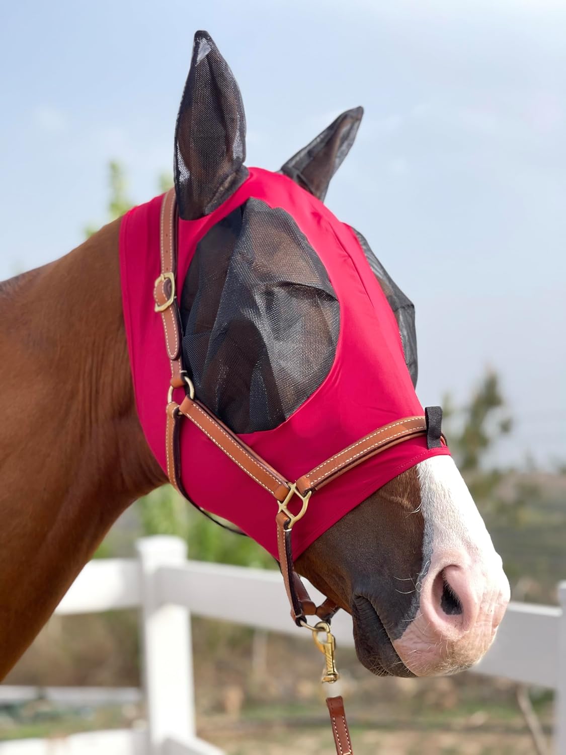 Horse Fly Mask Super Comfort Horse Fly Mask Elasticity Fly Mask with Ears We Only Make Products That Horses Like… (Red, M)