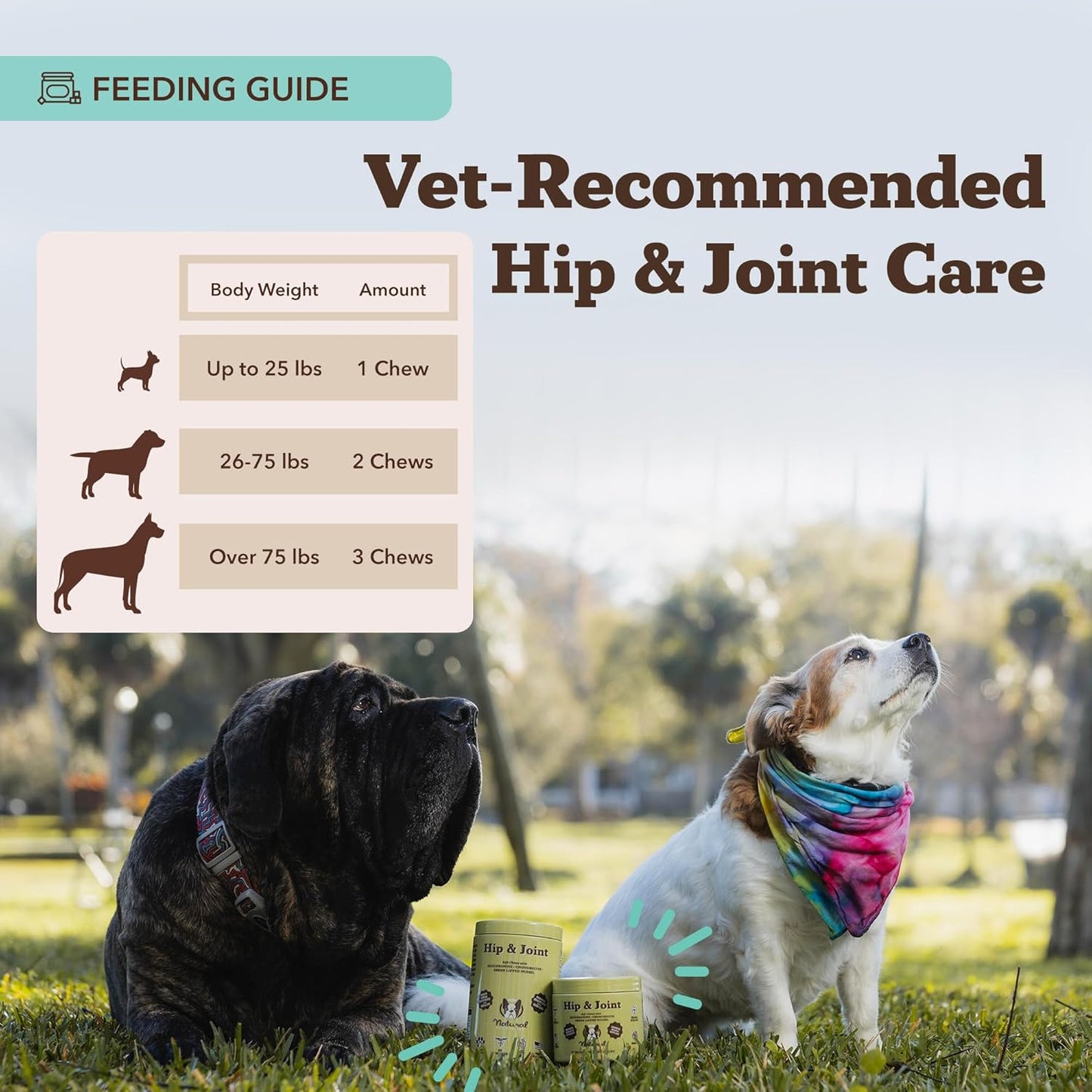 Natural Dog Company Hip & Joint Chews for Dogs with Glucosamine for Dogs + Chondroitin, MSM & Turmeric, Supports Mobility & Reduces Discomfort, Stiffness, Natural Pain Relief Joint Supplement. 180 Ct