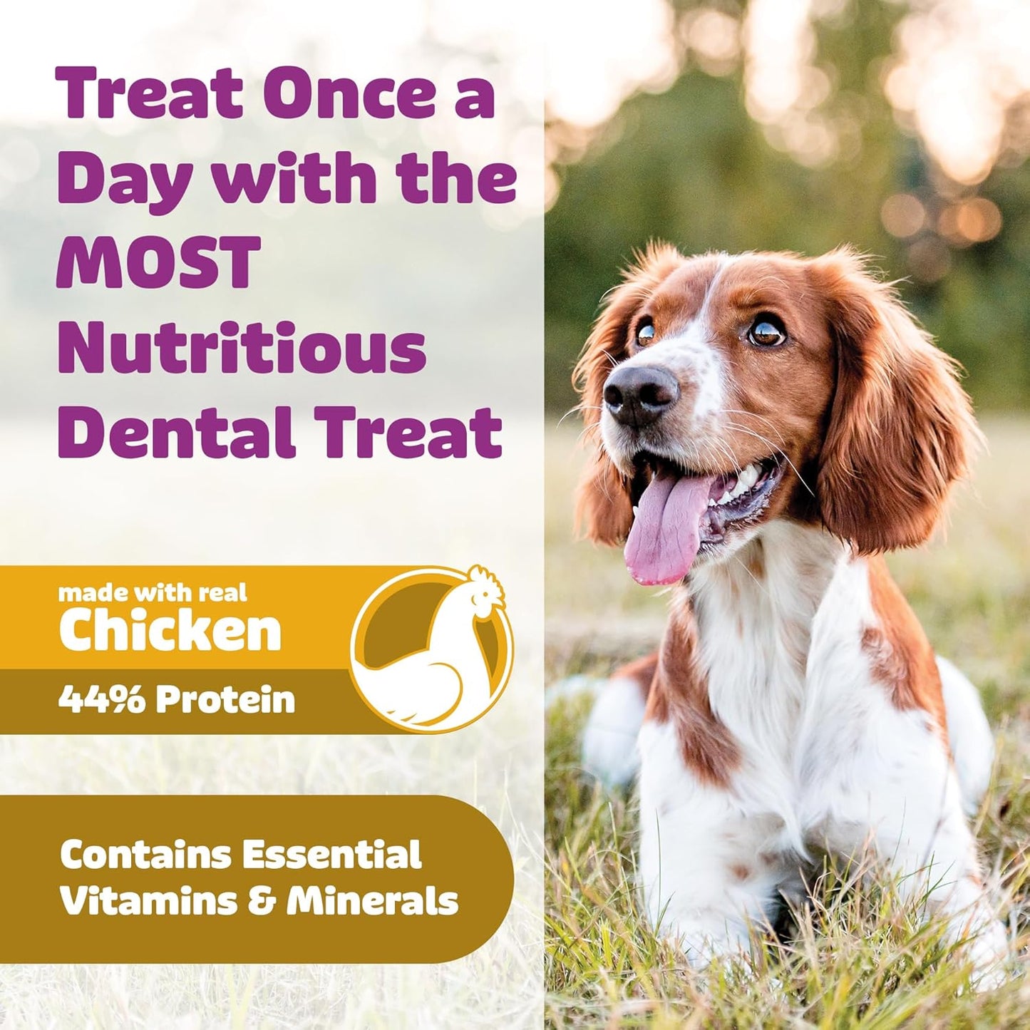 Dog Dental Treats – Vet VOHC Approved – Delicious Chicken Protein – Removes Tartar with Cleaning Comb Shape – Dental Dog Treats for Extra Large Dogs (24oz, 12 Count)