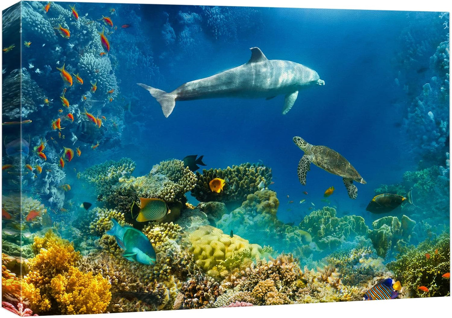 wall26 Canvas Print Wall Art Tropical Ocean Underwater Dolphin Coral Reef Nature Animals Photography Realism Rustic Scenic Landscape Wilderness Colorful for Living Room, Bedroom, Office - 24"x36"