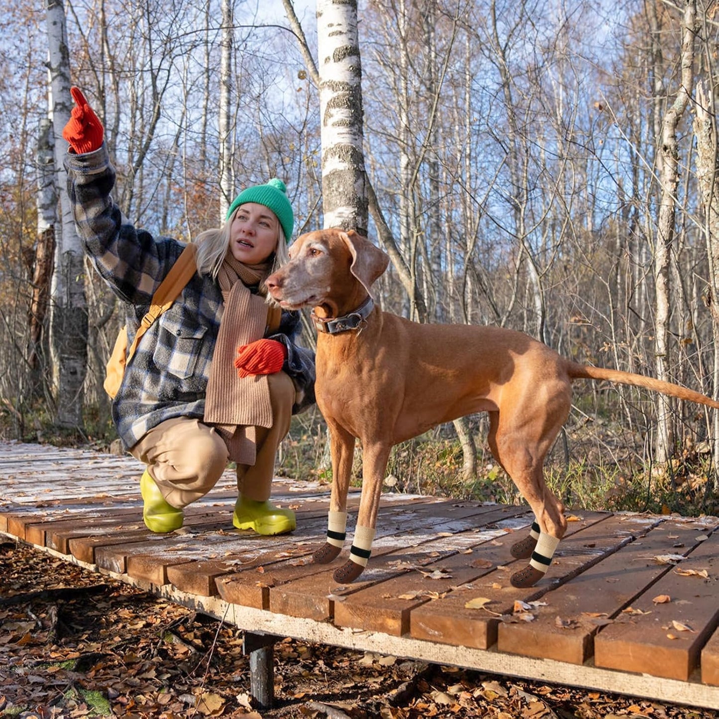 SCENEREAL Dog Socks to Prevent Licking Paws for Hardwood Floors Anti Slip, Dog Grippy Socks Shoes for Senior Small to Large Dogs, Dog Boots & Paw Protectors for Hot/Cold Scratching Pavement