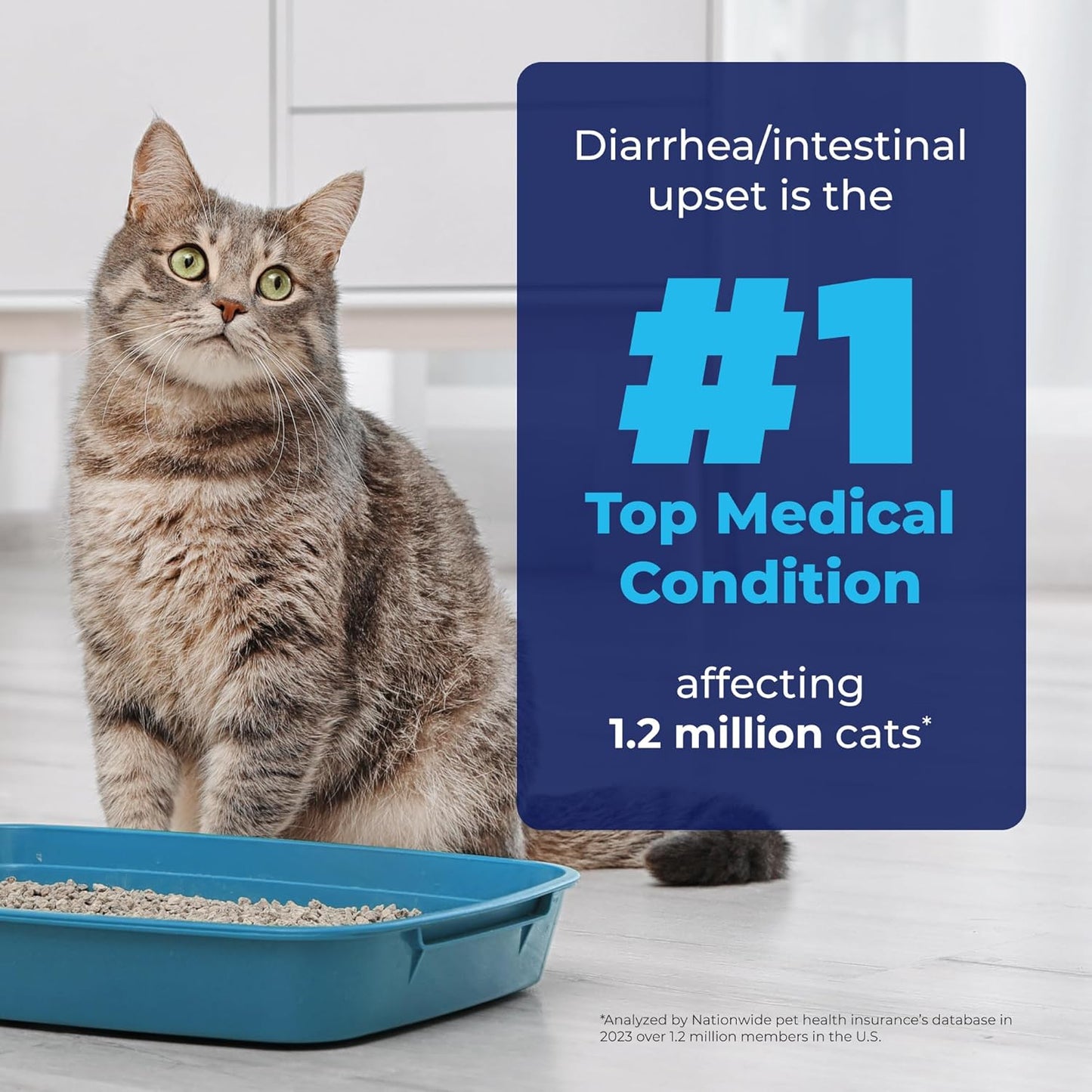 Vetnique Glandex Feline Anal Gland or Daily Probiotic Fiber Supplement Powder for Cats with Digestive Enzyme, Probiotics and Pumpkin, Vet Recommended for Healthy Bowels (4oz, Anal Gland Powder - Tuna)