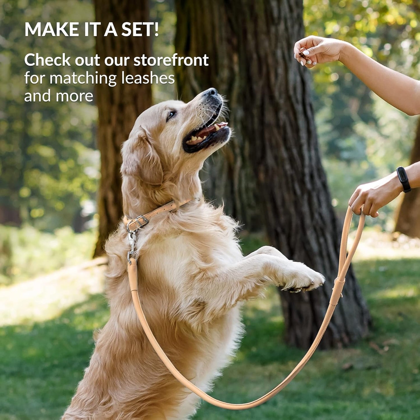 CollarDirect Rolled Leather Dog Collar, Soft Padded Round Puppy Collar, Handmade Genuine Leather Collar Dog Small Large Cat Collars 13 Colors (15-19 Inch, Beige Smooth)