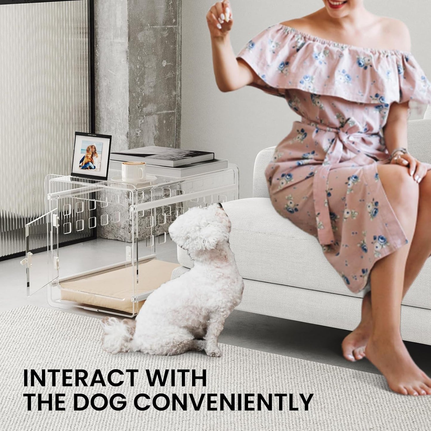 Sumerflos Clear Acrylic Dog Crate - Modern Dog Kennel Furniture, Indoor End Table Dog Crate Lockable Ventilated for Most Small Dog Cat Pet, 21.65" L x 15.74" W x 17.71" H