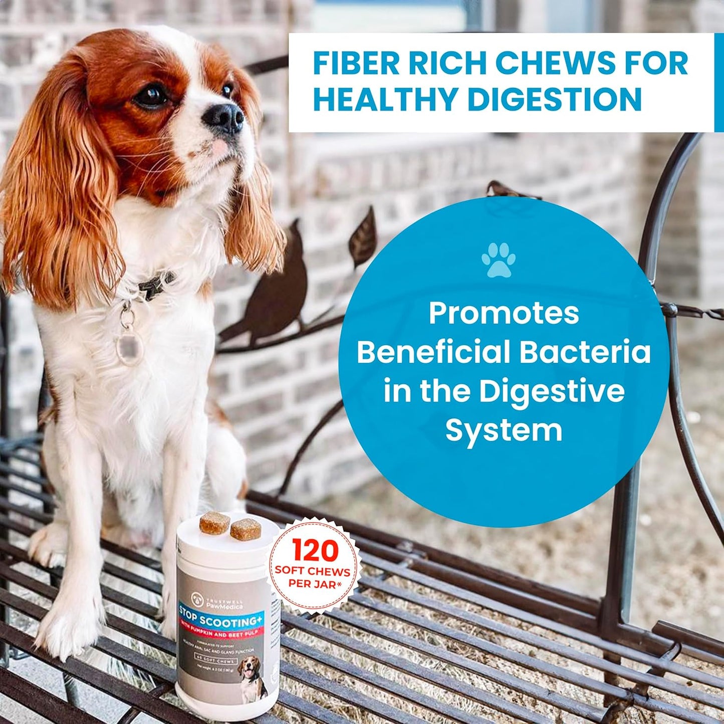 PawMedica Dog Anal Gland Chews to Stop Scoot for Dogs - Anal Gland Dog Constipation Relief - Recommended Dog AnalGland Support Chews Fiber - Fiber Supplement for Dogs (120 Dog Pumpkin Chews)