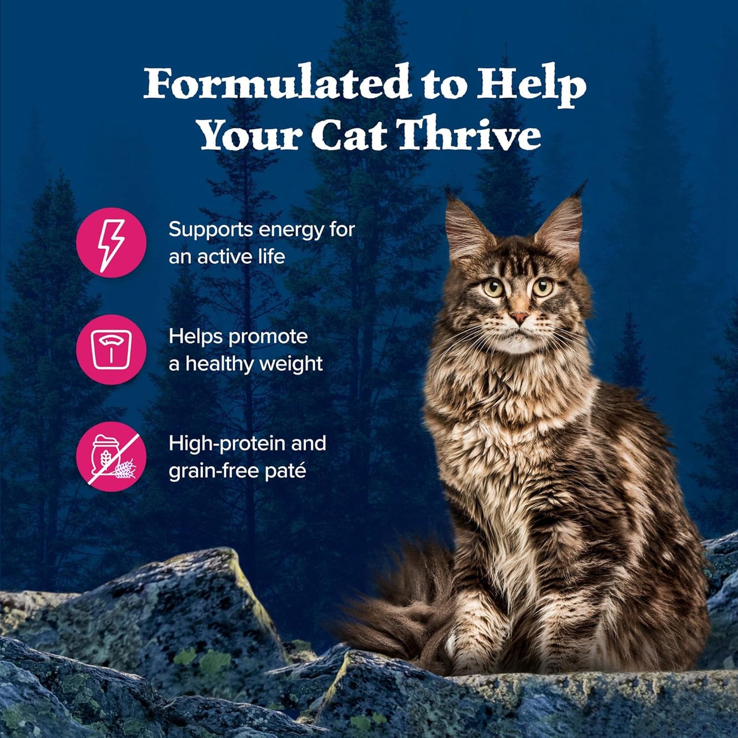 Blue Buffalo Wilderness Natural High-Protein Grain-Free Wet Food for Adult Cats, Salmon Paté, 3-oz. Cans, 24 Count