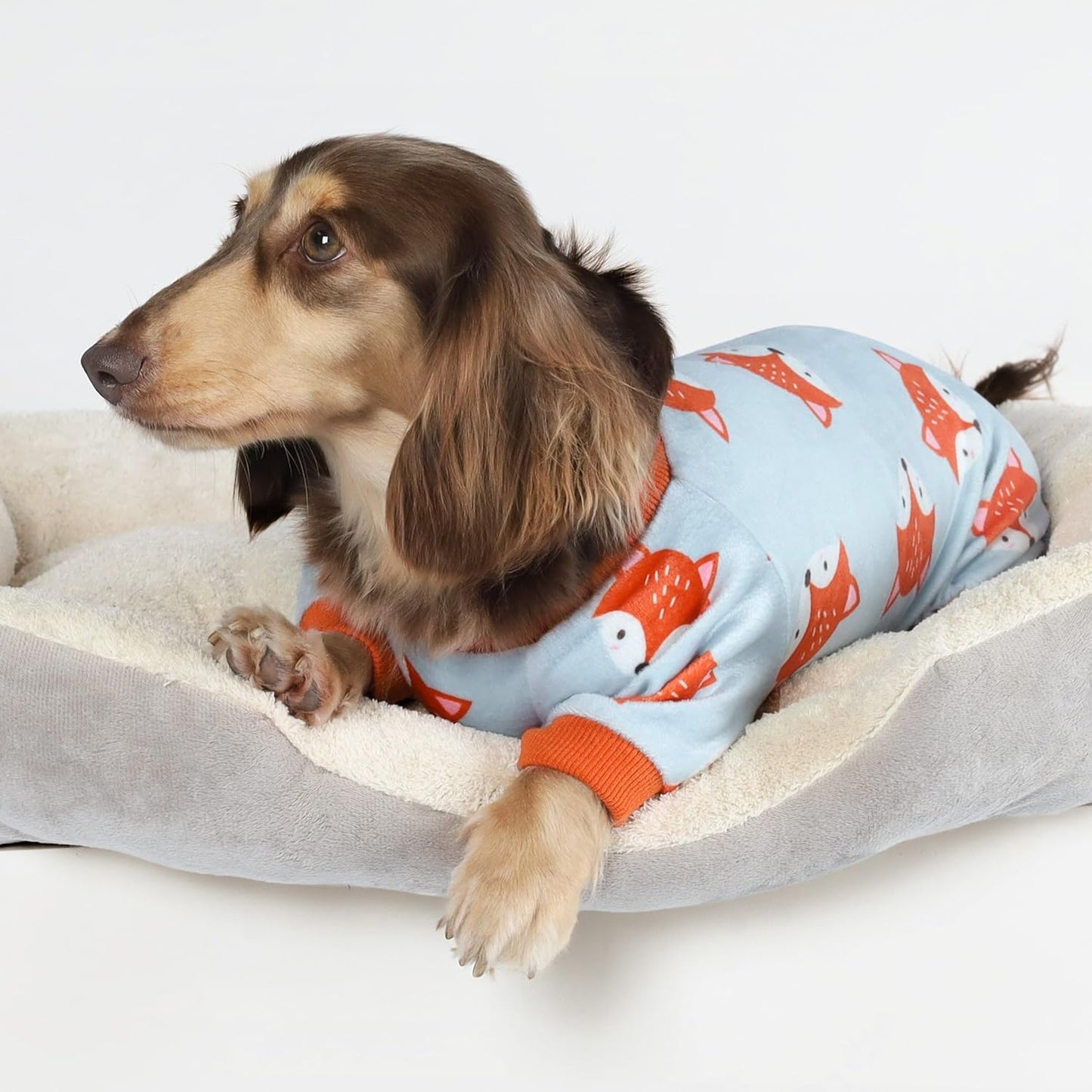 Fitwarm Funny Fox Dog Pajamas, Warm Dog Onesie, Dog Clothes for Small Dogs Girl Boy, Lightweight Velvet, Pet Outfit, Gray, Orange, XL