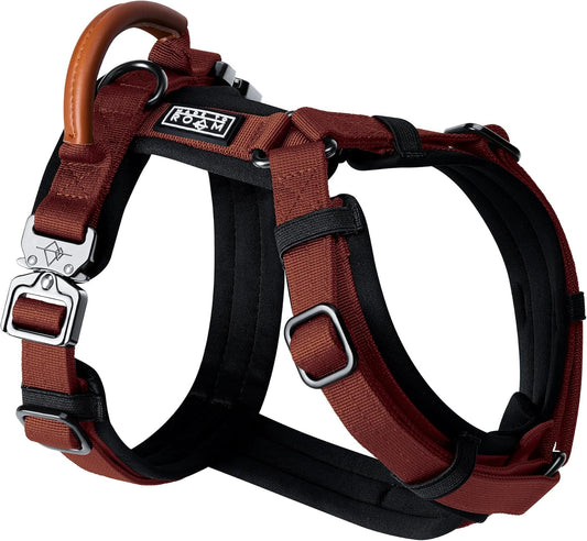MADE TO ROAM Premium Explorer Harness - Y-Shaped Dog Harness with Adjustable Durable Nylon, Soft Padding, Metal Buckles and Leather Handle for Small, Medium, Large Dogs (Arizona Heartbeat, Size 3)