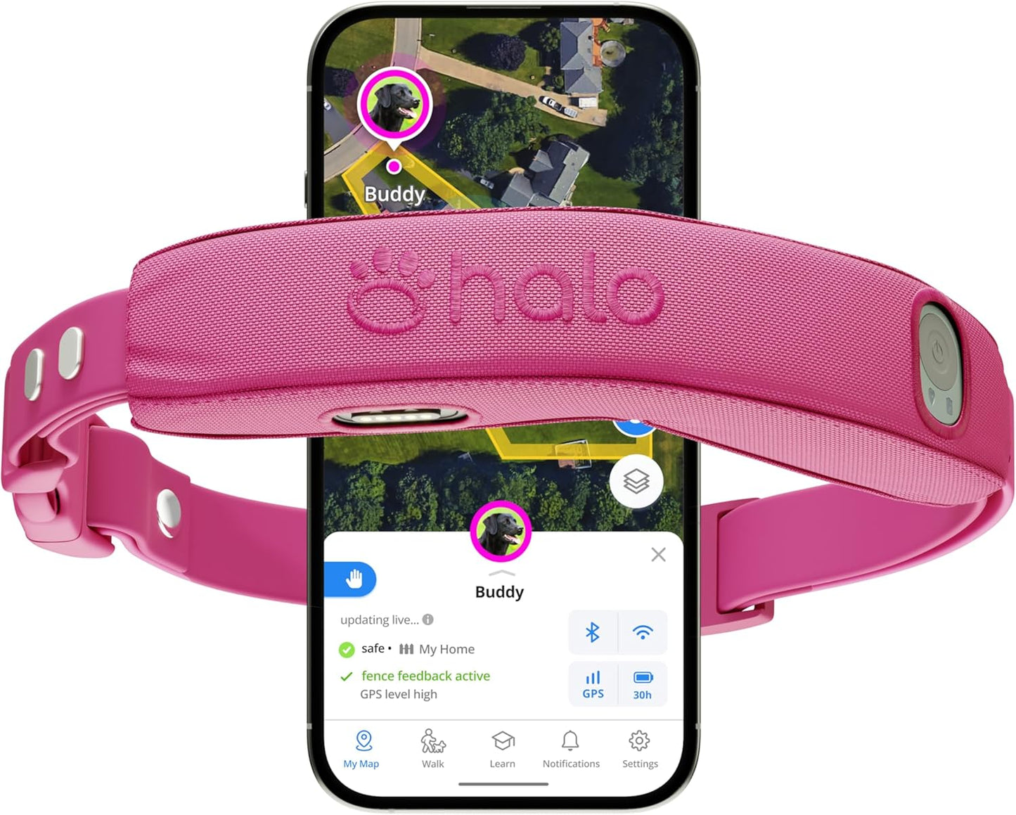Halo Collar 4, All New GPS Wireless Dog Fence & Dog Training Collar with GPS Tracker, Subscription Required, Waterproof, One Size, Orchid