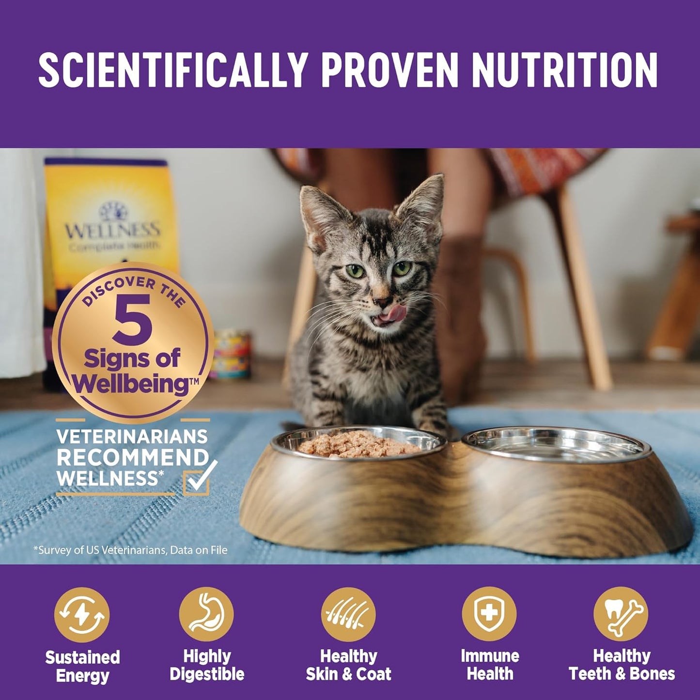 Wellness Complete Health Minced Adult Wet Cat Food, Natural, Protein-Rich, Grain Free, 5.5 Ounce, 24 Pack, (Turkey & Salmon Entrée)