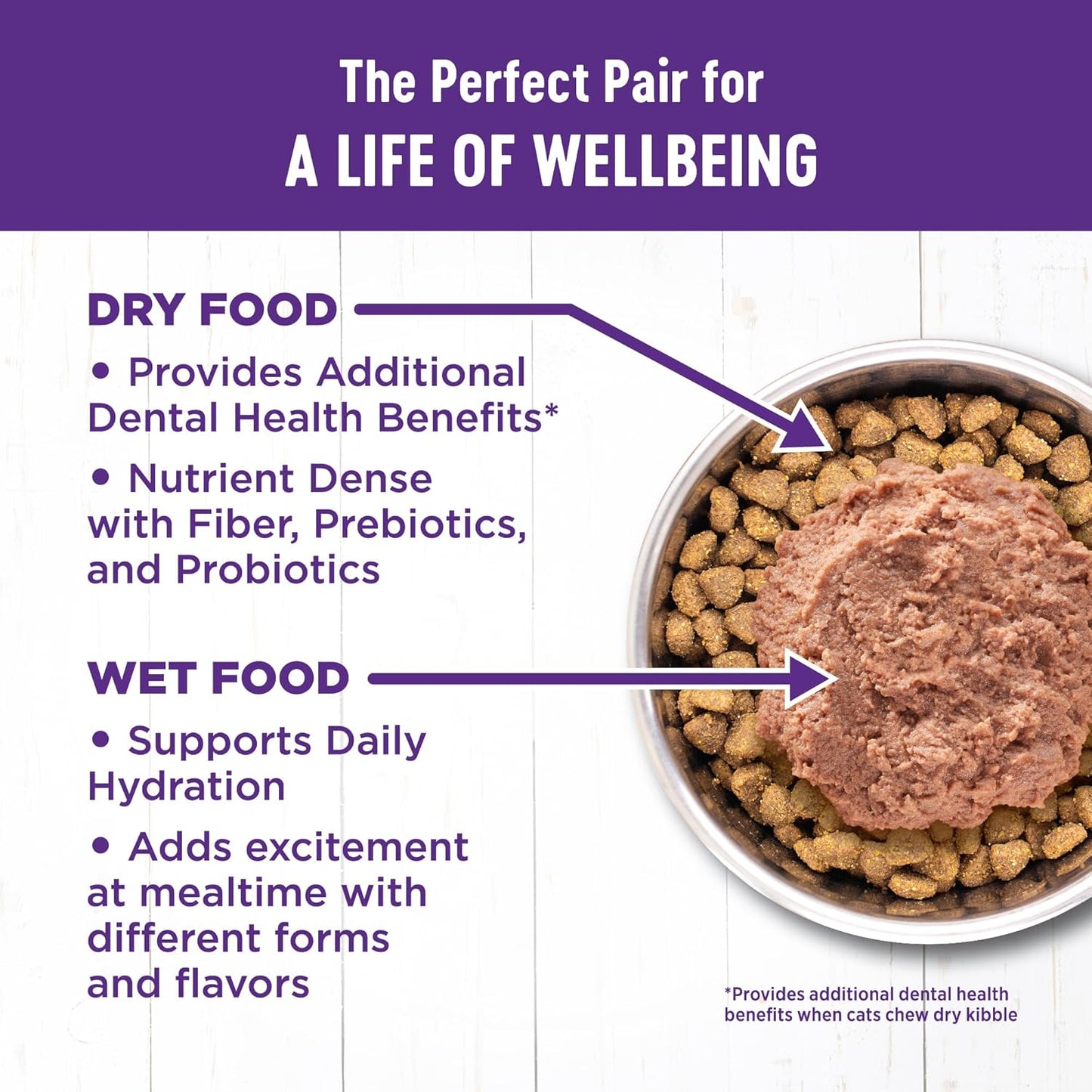 Wellness Complete Health Pate Adult Wet Cat Food, Natural, Protein-Rich, Grain Free, 3 Ounce, 24 Pack, (Chicken & Lobster)