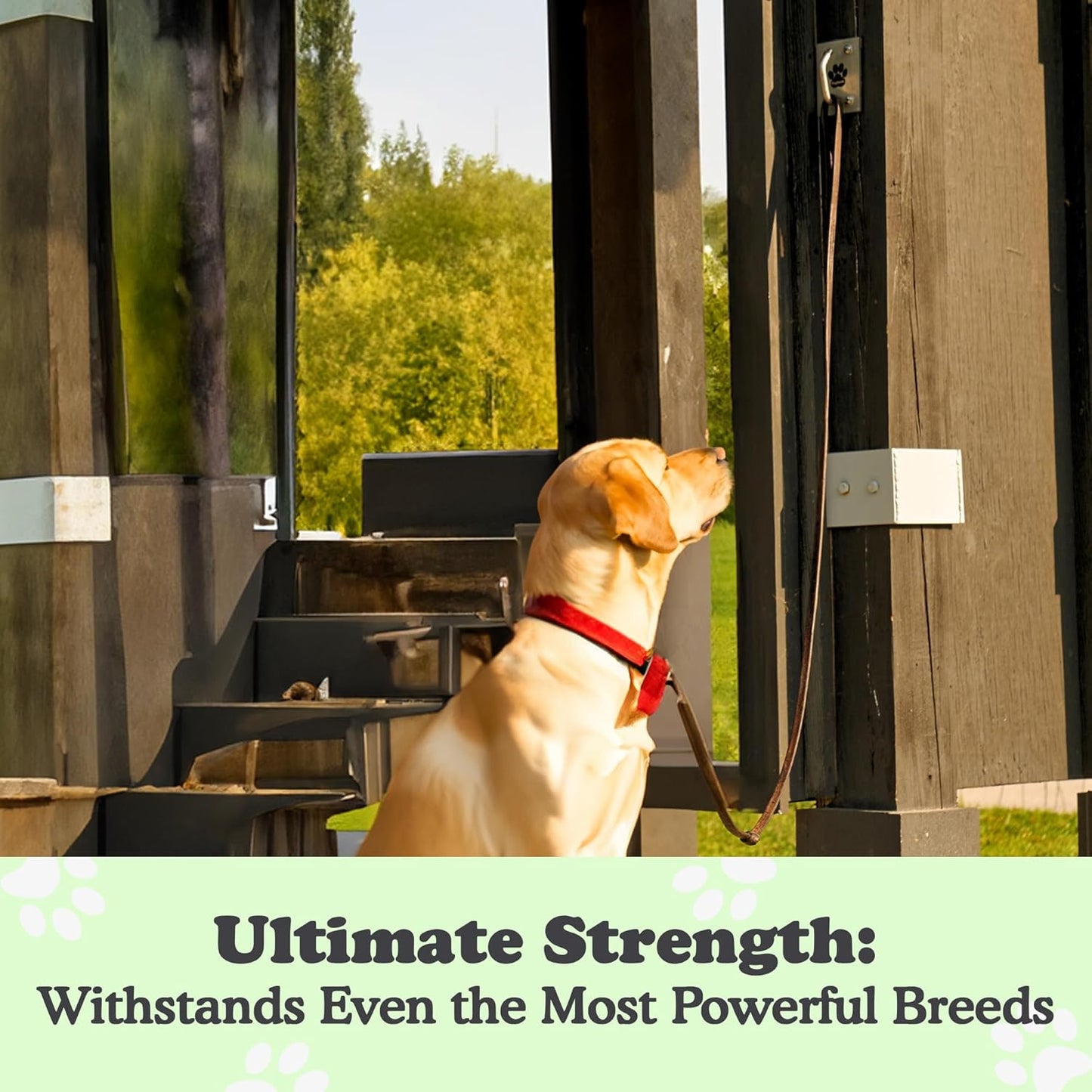 Canine Hitch- Secure Dog Leash Parking Mounted Indoor – Outdoor Wall Hook - Tie Out Stainless Steel Practical Lead Management for Home & Business, Ultimate Strength 6 Packs