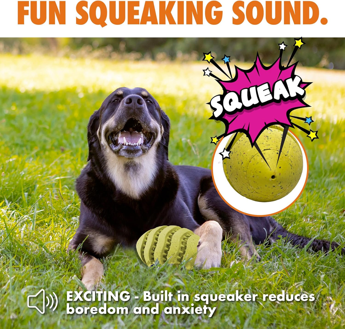 Max Fusion with Nike Grind, Arlee Spiro Football Treat Dispensing Dog Toy, Durable Dog Treat Toy, M