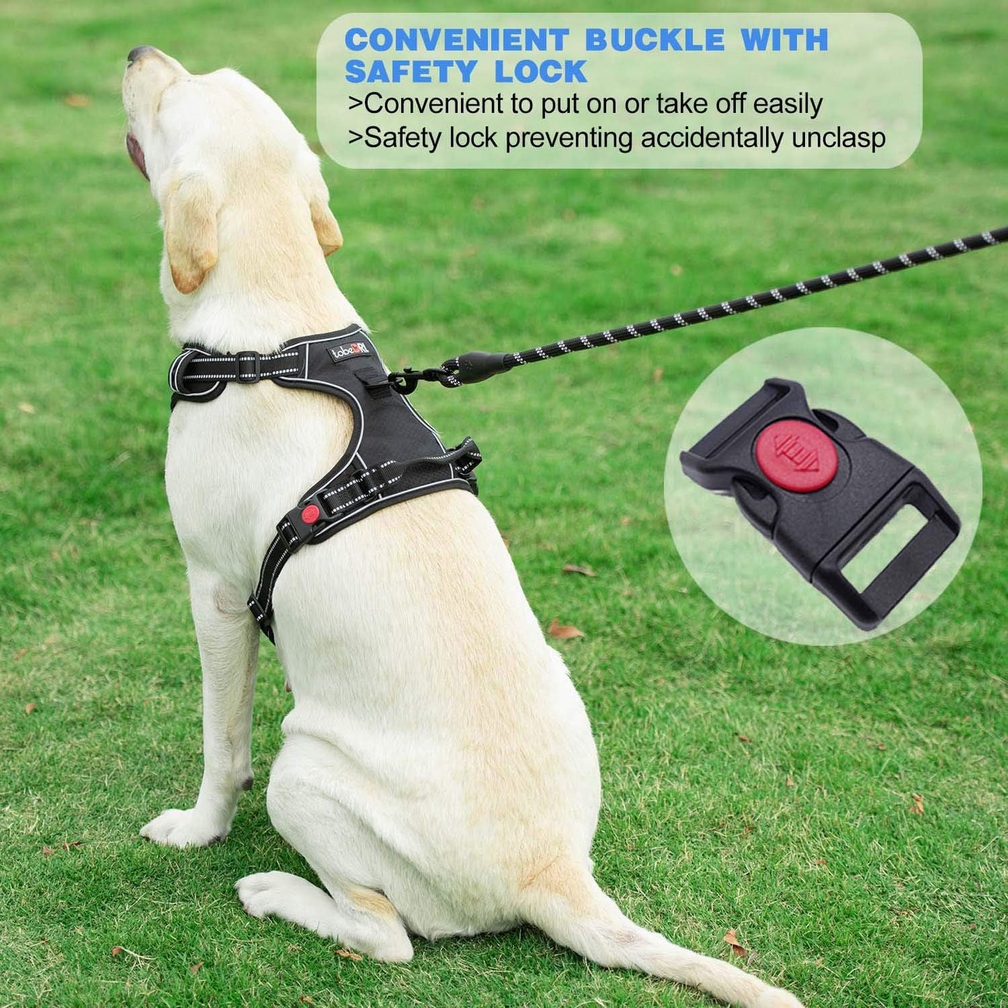 No Pull Dog Harness Adjustable Reflective Oxford Easy Control Medium Large Dog Harness with A Free Heavy Duty 5ft Dog Leash (M (Chest: 22"-26"), Black Harness+Leash)