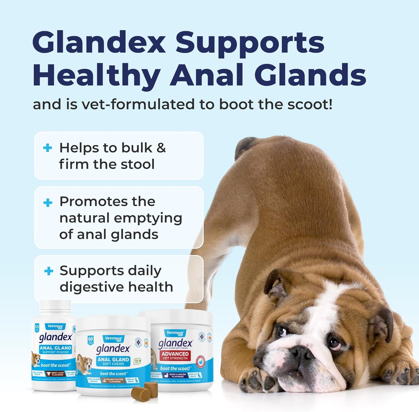 Vetnique Glandex Dog Fiber Supplement Powder for Anal Glands with Pumpkin, Digestive Enzymes & Dog Probiotics for Digestive Health - Vet Recommended - Boot The Scoot (Vegan Salmon, 2.5oz Powder)