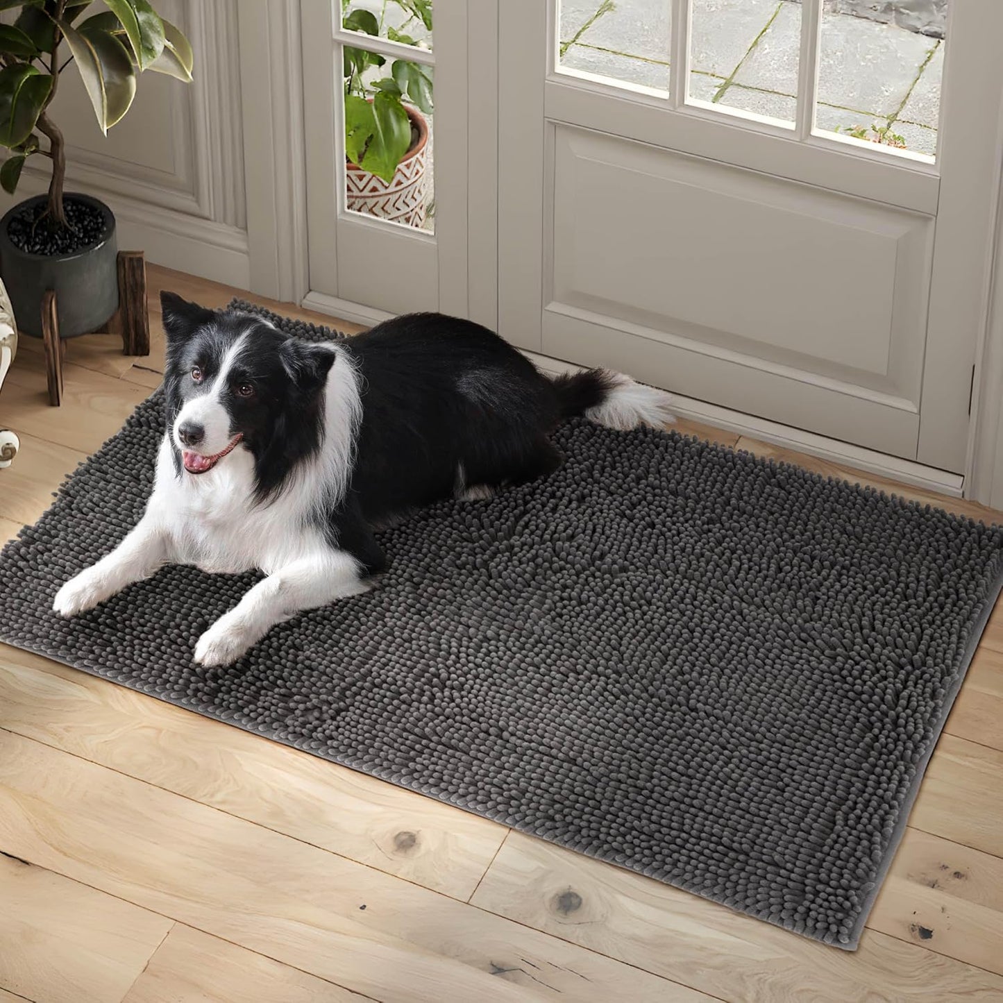 Dog Door Mat Indoor Entrance, 72" x 36" Absorbent Quick-Drying Mud Mat for Dogs, Non-Slip Door Rugs for Entryway Indoor Washable, Soft Chenille Dog Mat for Muddy Paws