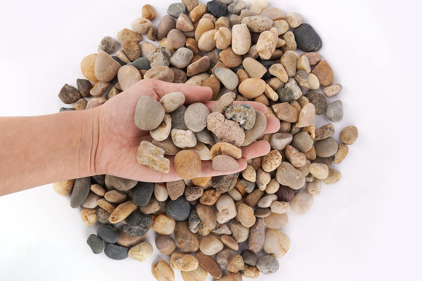 LANDEN BALAGEN SAND Natural River Rock Gravel 2L(7lb), Aquarium Aquascape Decorative Pebbles,Pea gravel, Rain Forest Rocks for Plants,River Rocks for Outdoor Landscaping,Betta beads,Terrarium,Φ14-38mm