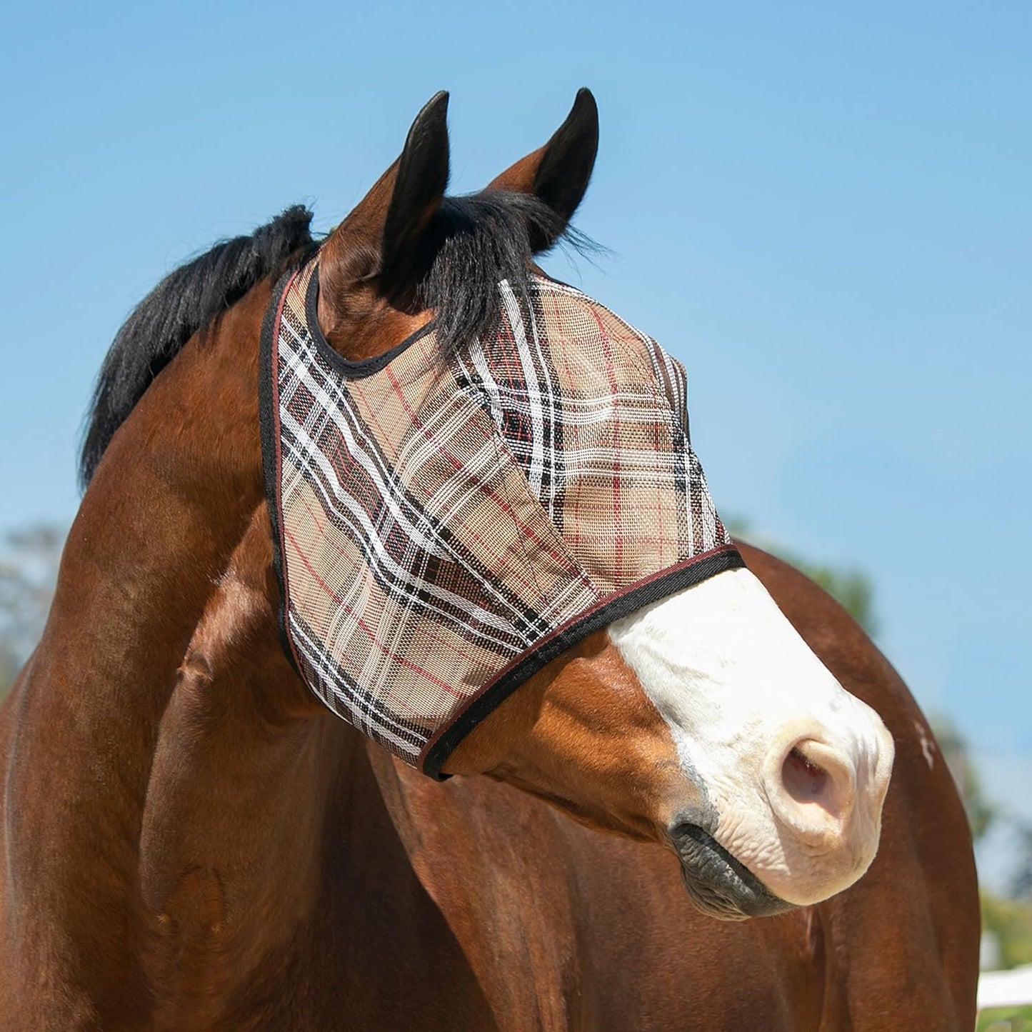 Kensington Fly Mask Web Trim — Protects Horses Face and Eyes From sun While Allowing Full Visibility — Ears and Forelock Able to Come Through the Mask, Medium, Deluxe Black