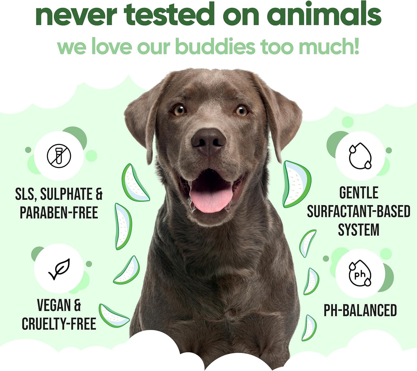 shed Control Dog Shampoo by Buddycare | Dry Skin & Itchy Skin Relief for Smelly Dogs | Deep Cleansing for Dogs Puppy Sensitive Skin | Lemongrass Scented | with Aloe & Vitamin B5 (16.90oz)