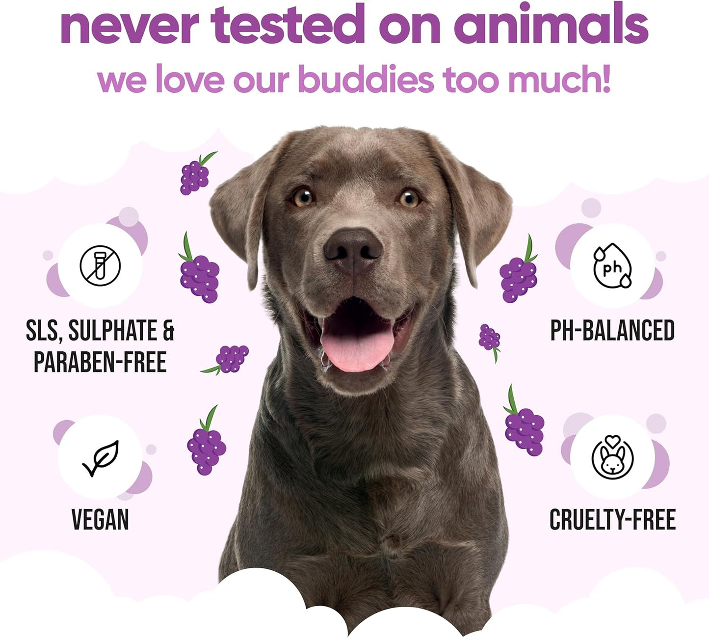 Grape Scented Puppy Shampoo by Buddycare | For Smelly Dogs from 8 Weeks | Aloe Vera & Pro Vitamin B5 (16.90oz)