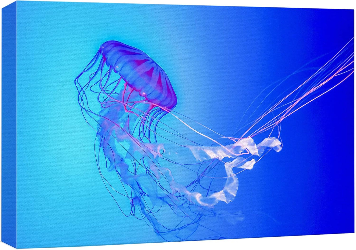 wall26 Canvas Print Wall Art Vibrant Neon Blue Pink Jellyfish Deep Sea Nature Animals Photography Realism Rustic Scenic Landscape Wilderness Earth Colorful for Living Room, Bedroom, Office - 12"x18"