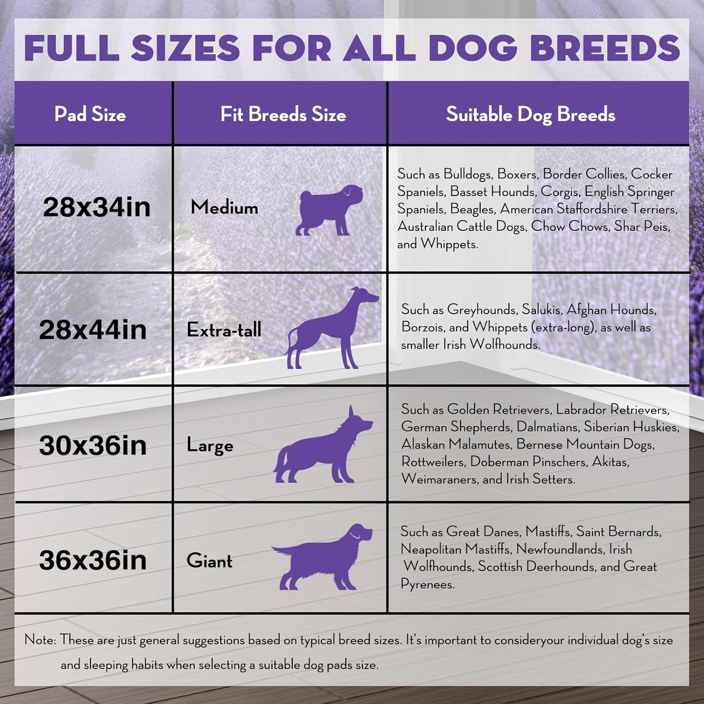 CROCI Dog Pads Extra Large 30x36in, Puppy Pads with Adhesive Tabs Super Absorbent Up to 10 Cups, Disposable (40 Counts)