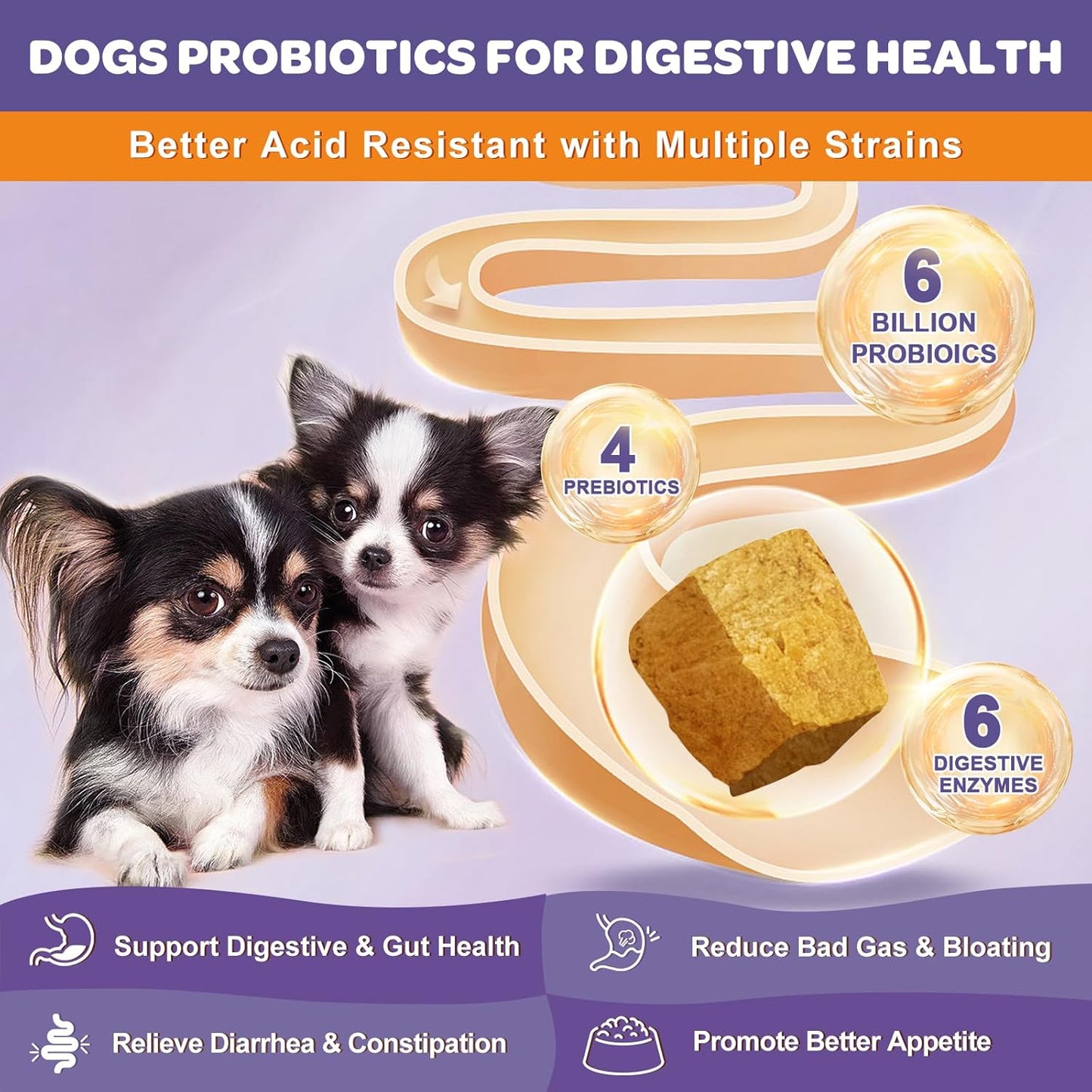 NATURE TARGET Probiotics for Dogs, 6 Billion CFUs, Freeze Dried Dog Probiotics with Prebiotics & Enzymes for Diarrhea, Gas, Vitamins & Omega 3 for Skin & Immune Health, Allergy Itch Relief, 180 Count