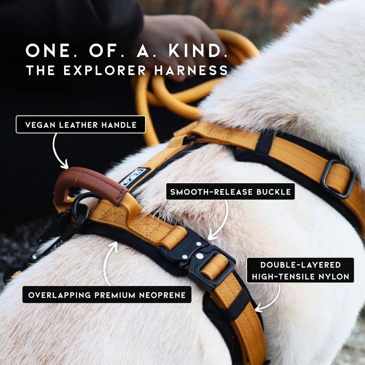 MADE TO ROAM Premium Explorer Harness - Y-Shaped Dog Harness with Adjustable Durable Nylon, Soft Padding, Metal Buckles and Leather Handle for Small, Medium, Large Dogs (Florida Seaside, Size 6)