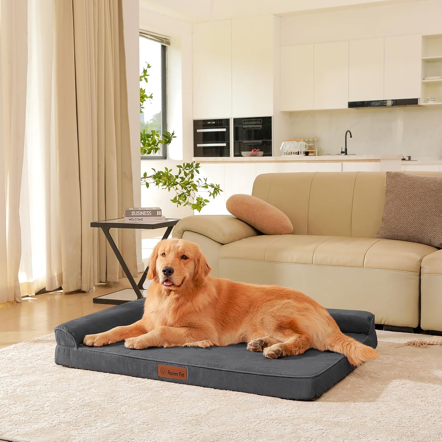 Upgraded Large Dog Bed, 3" Memory Foam with Waterproof Liner, Chew Resistant Microsuede Cover, Removable and Washable, for Indoor, Outdoor, and Car Use, Nonskid Base, 44x32, XXL Dark Grey