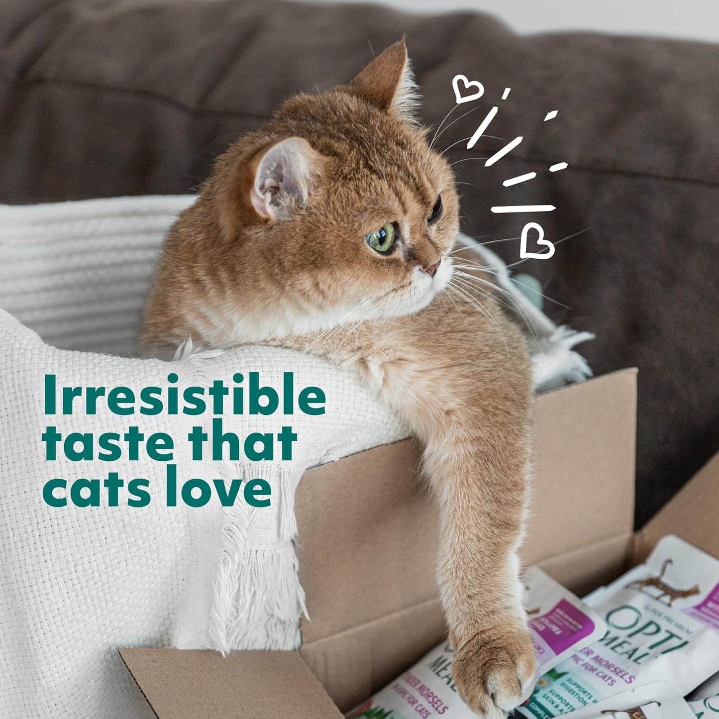 Optimeal Natural Dry Cat Food for Adult Cats - Proudly Ukrainian - Tasty and Nutritional Cat Food Dry Recipe with Immunity Support for Healthy Felines (3.3 lbs, Chicken & Brown Rice)