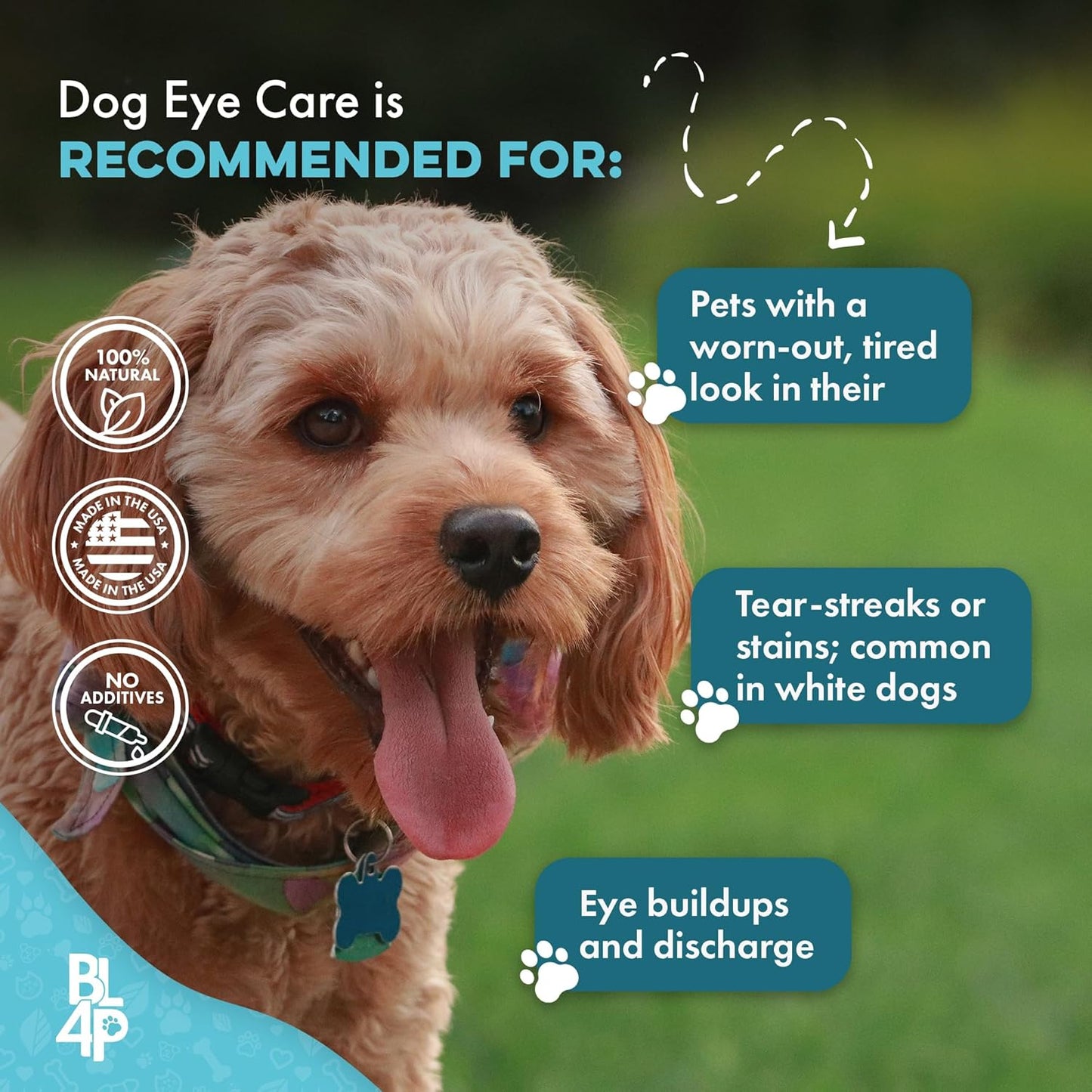 Dog Eye Care & Infection Treatment, Natural Dog Supplements for Conjunctivitis, Swelling, Dry Eyes and Discharge, Easy to Use, No More Struggle with Canine Drops, 400 Small Pills