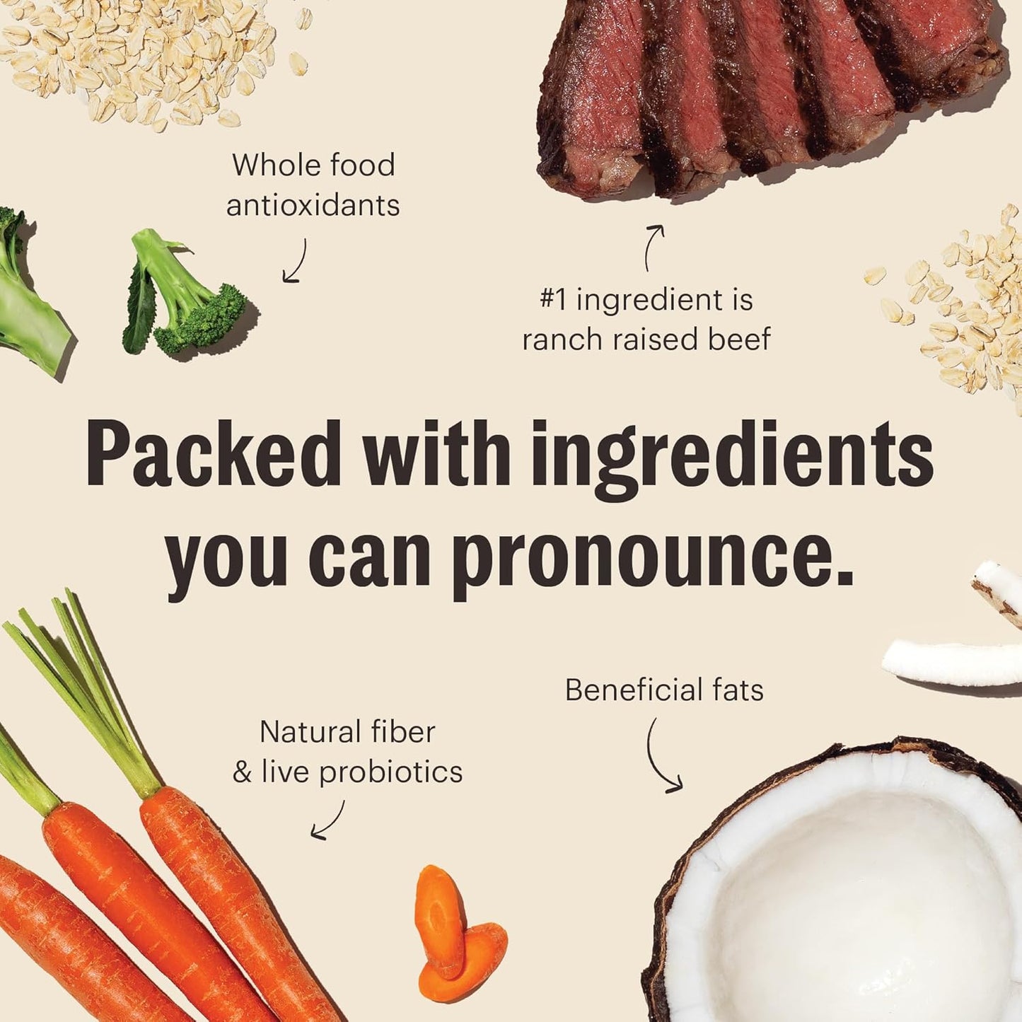 The Honest Kitchen Whole Food Clusters Whole Grain Beef & Oat Dry Dog Food, 1 lb Bag