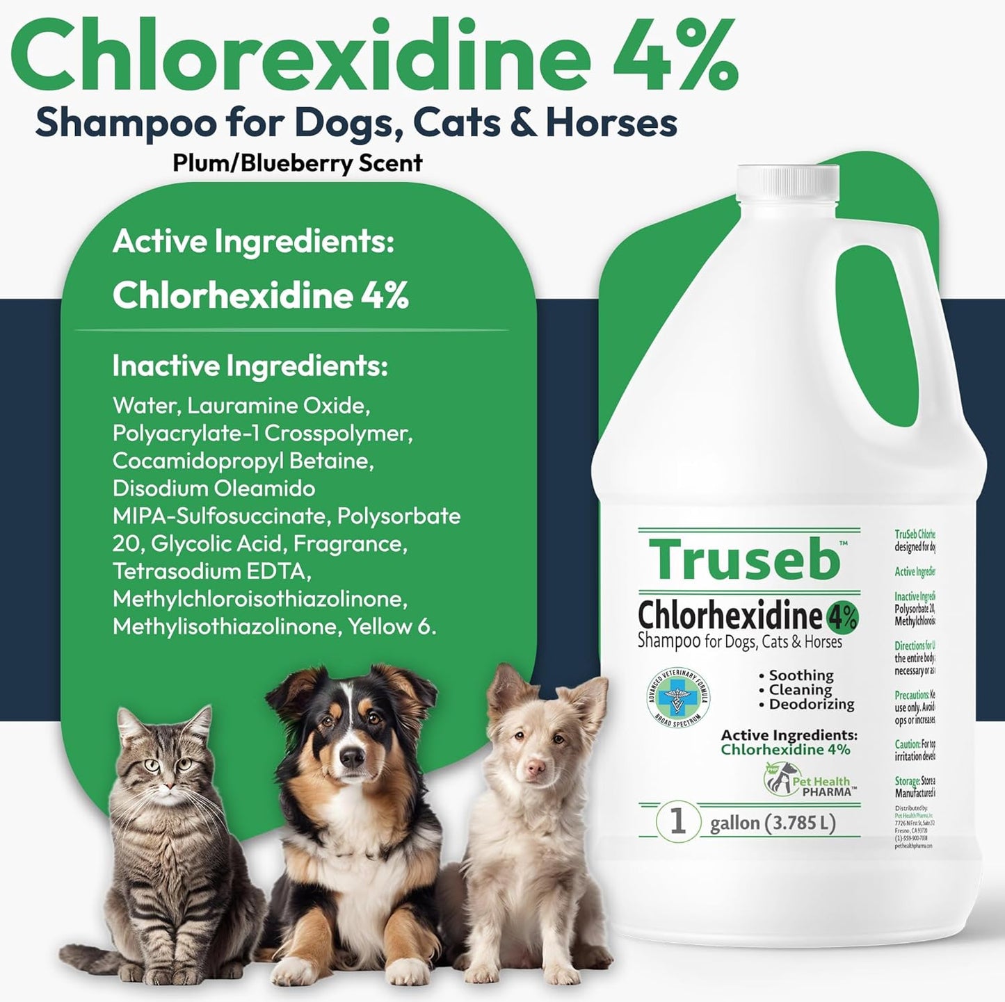 Topical Chlorhexidine 4% Shampoo for Dogs, Cats & Horses (Gallon)- with Aloe for Cleansing (USA) (Chlorhexidine 4% Shampoo, 1 Gallon)