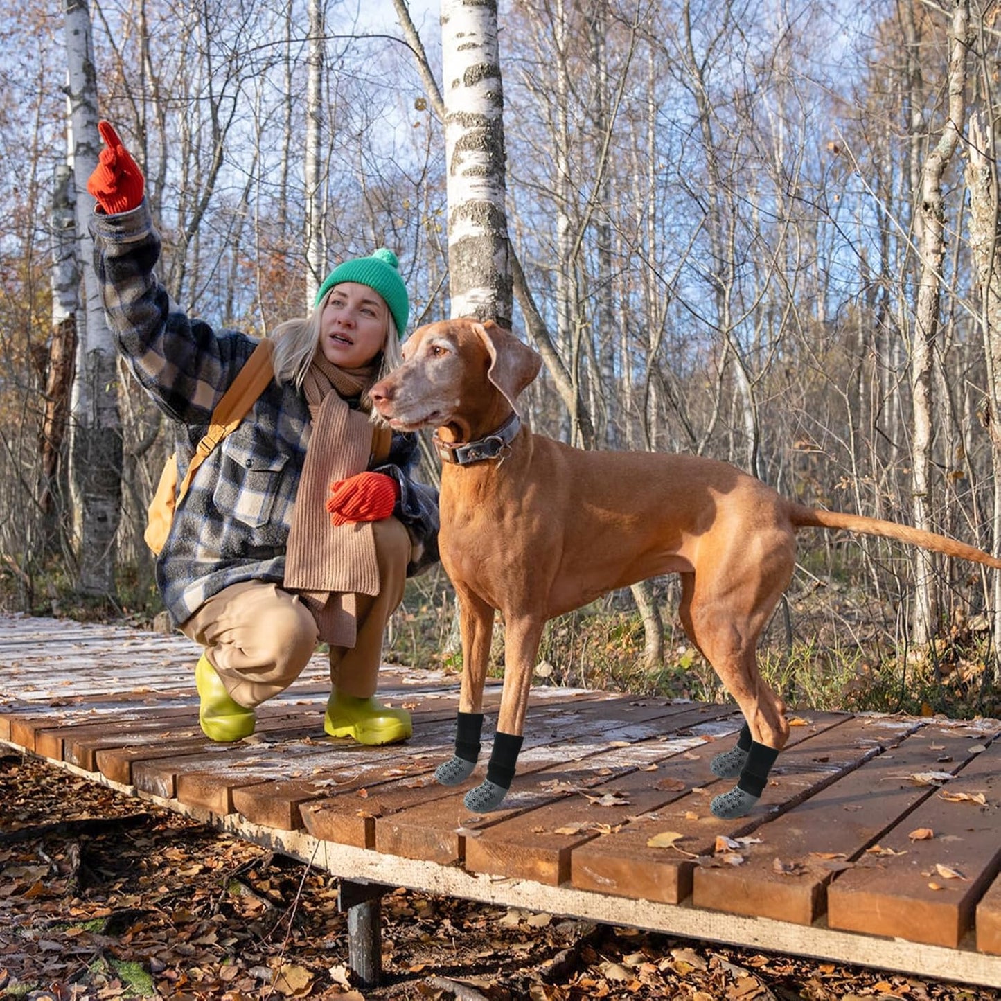 SCENEREAL Dog Socks to Prevent Licking Paws for Hardwood Floors Anti Slip, Dog Grippy Socks Shoes for Senior Small to Large Dogs, Dog Boots & Paw Protectors for Hot/Cold Scratching Pavement