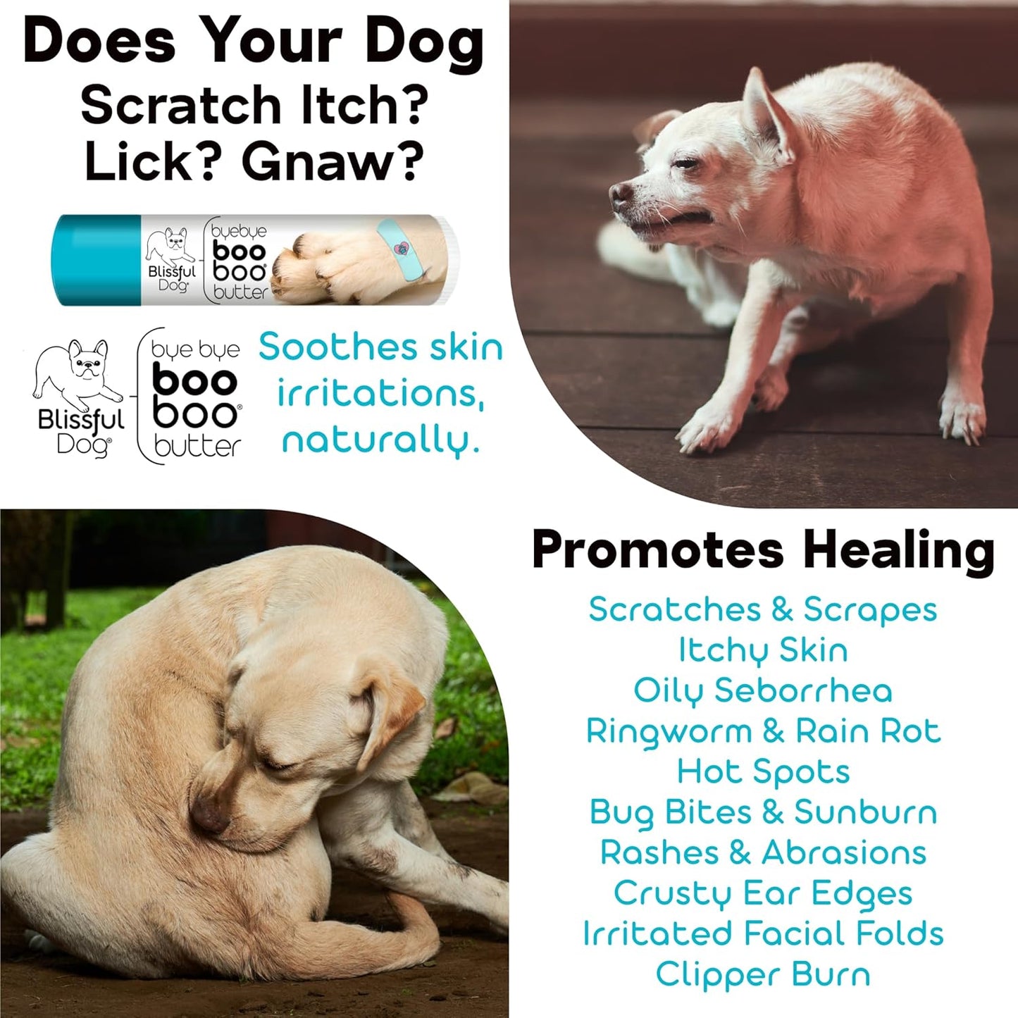 The Blissful Dog Australian Shepherd Boo Boo Butter, 16oz