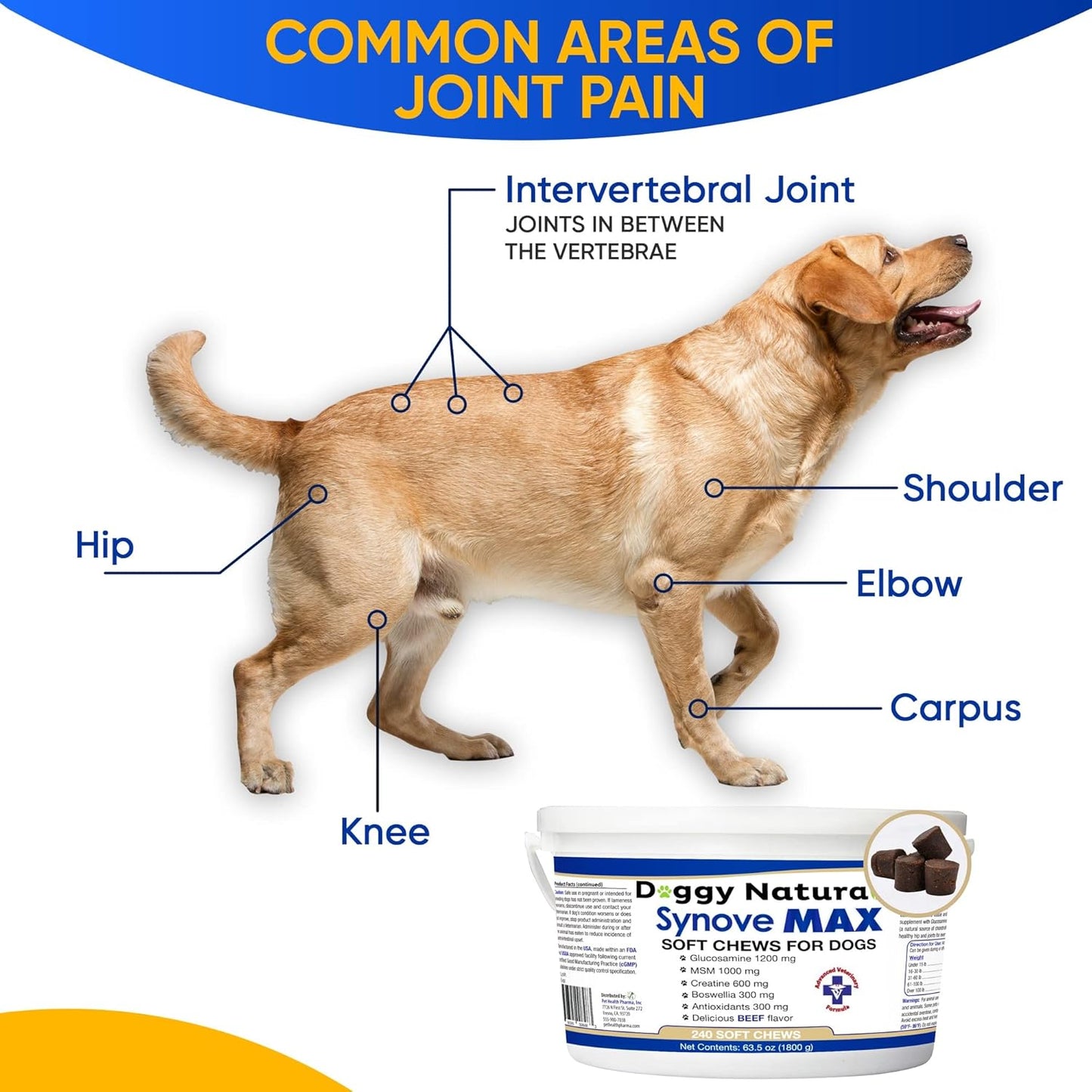 Synove Max Soft Chews for Dogs (240 Count) Beef Flavor, Joint Supplement, Glucosamine, Turmeric, Boswelllia serrata, Creatine Naturally Derived Ingredients better than synovi g4 soft chew