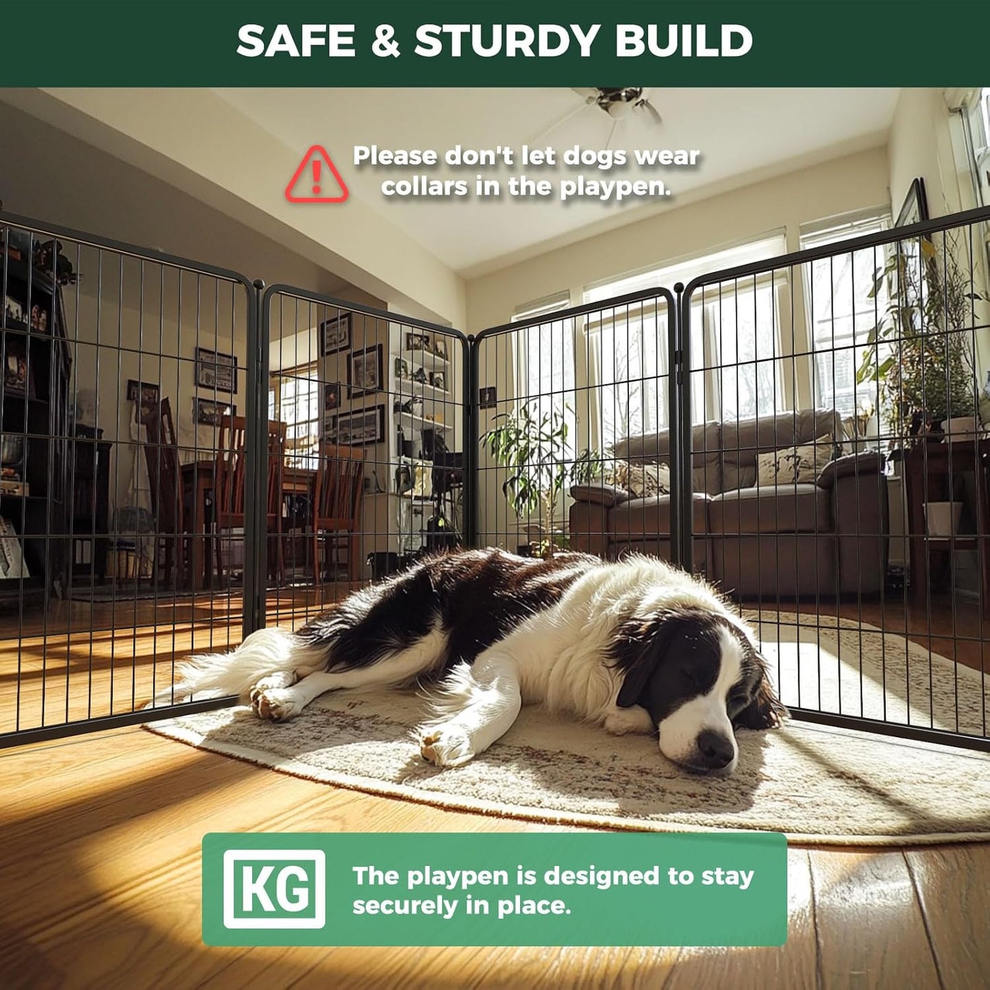 FXW Homeplus Unleashed Indoor Dog Playpen - Stress-Free and Safe Play, Heavy Duty 40 Inch 6 Wire Panels Dog Pen for Medium and Large Dogs, Black│Patented