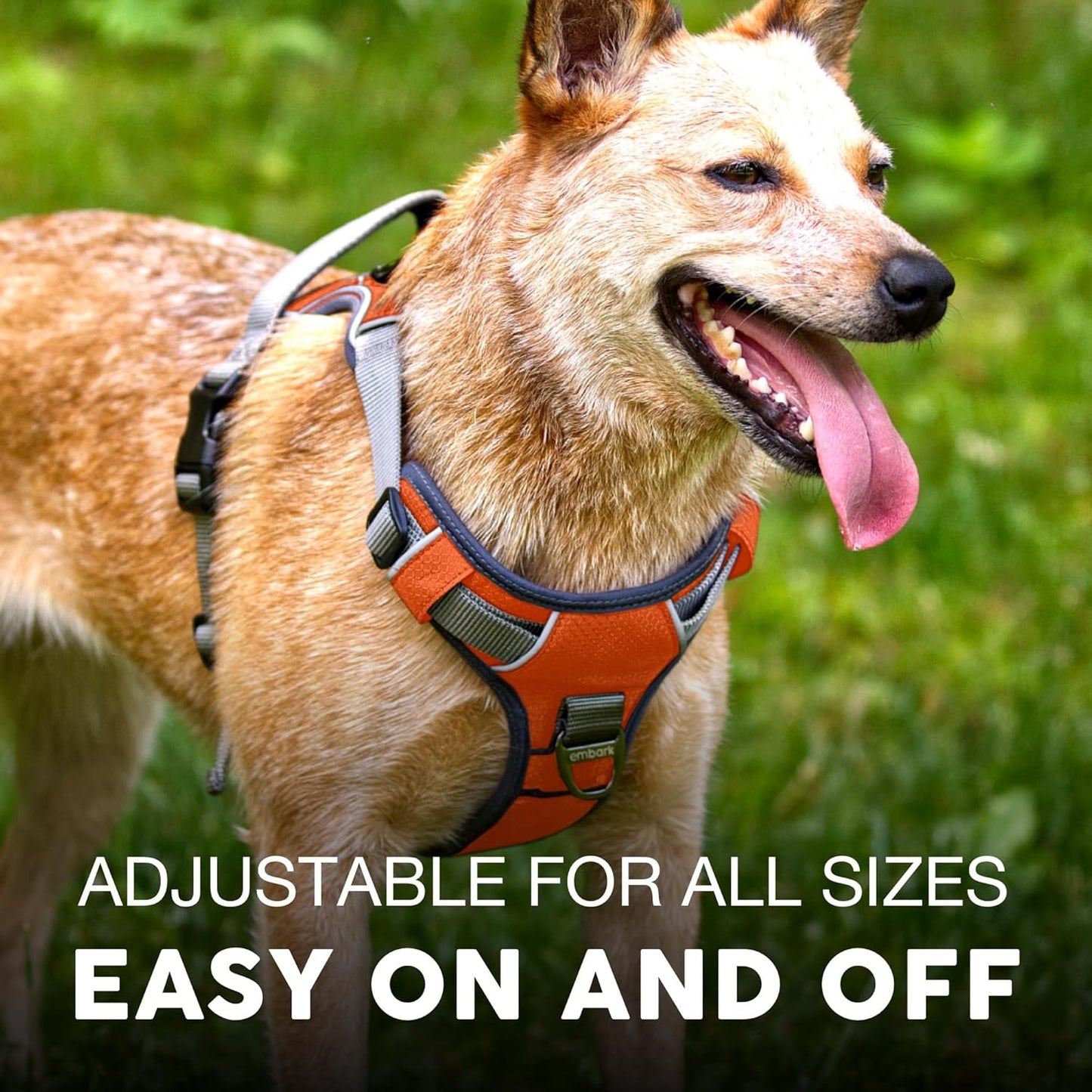 Embark Adventure Dog Harness, No-Pull Reflective Trim Dog Harness for Small, Medium & Large Dogs - Military Grade Nylon, 2 Leash Clips & Gel Lined Handle. Soft & Padded Puppy Dog Vest for Any Breed