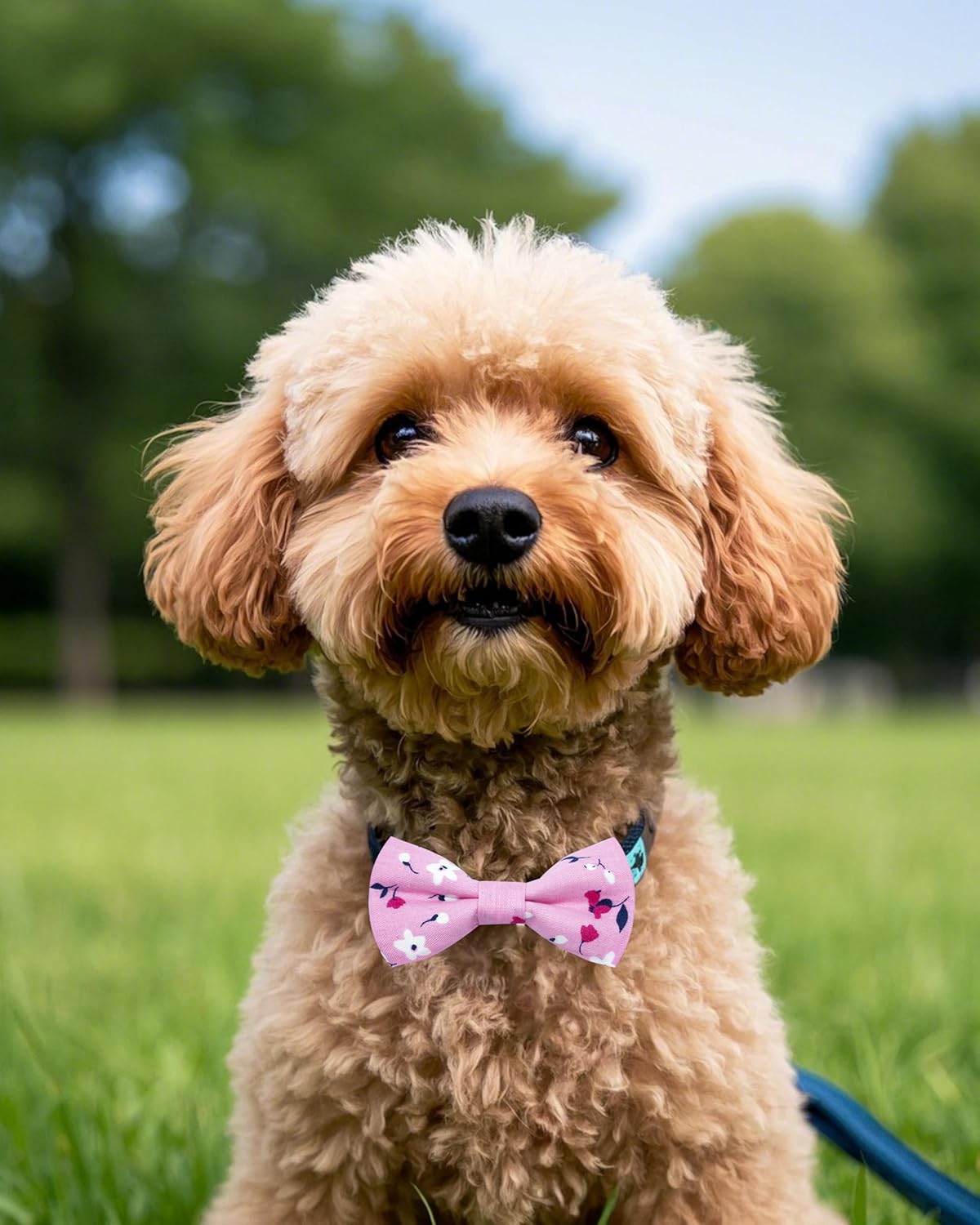 PET SHOW 5 Pack Floral Small Dog Bow Ties Sliding Collar Attachments Puppy Cats Spring Bowties for Medium Dogs Daisy Rose Bowknots Party Holiday Pet Grooming Accessories