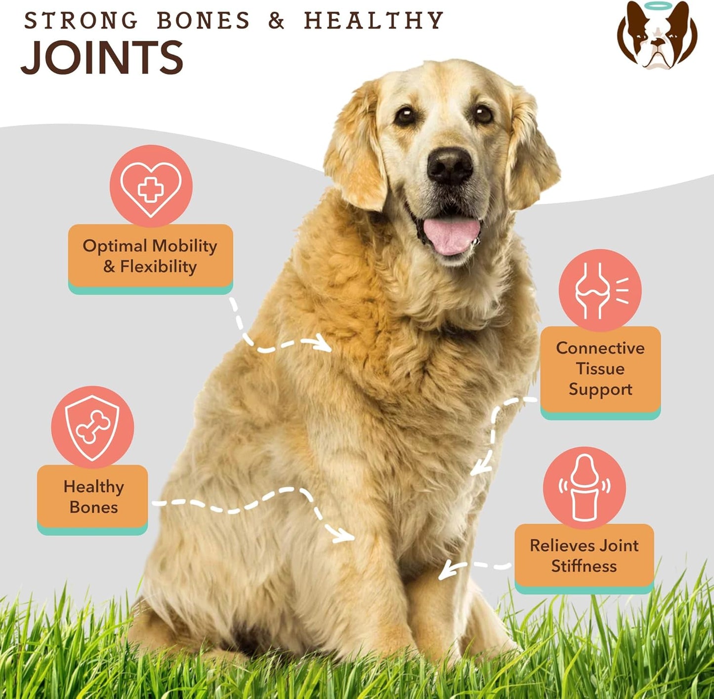 Natural Dog Company Healthy Joints, Skin and Coat Bundle for Dogs, Includes (1) Bottle Natural Dog Company Skin and Coat Oil, (1) Bottle Liquid Glucosamine, Food Topper, Dog's Fish Oil Supplement