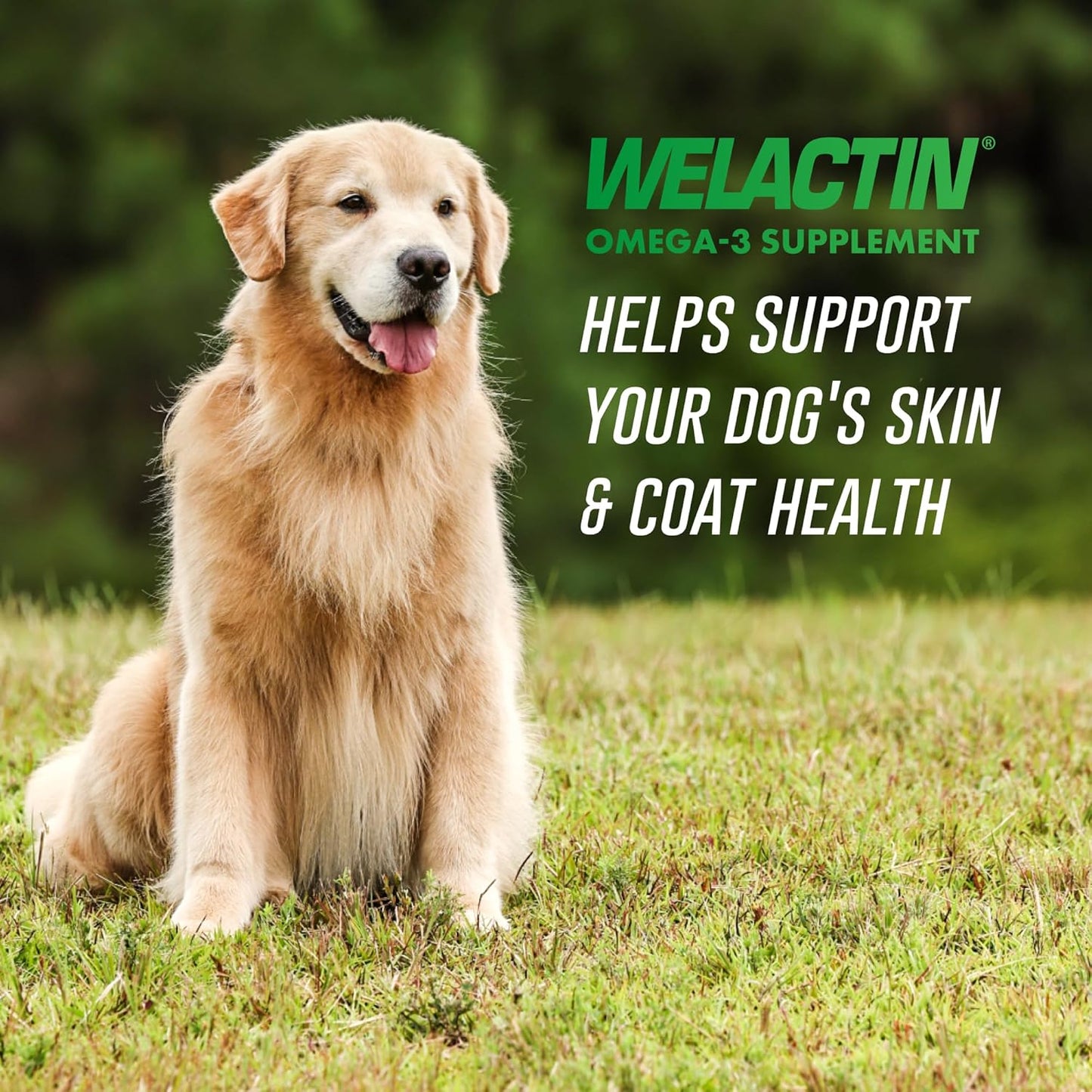 Nutramax Welactin 3 - Canine 120 - Softgel Caps, Welactin Omega-3 Skin and Coat Support
