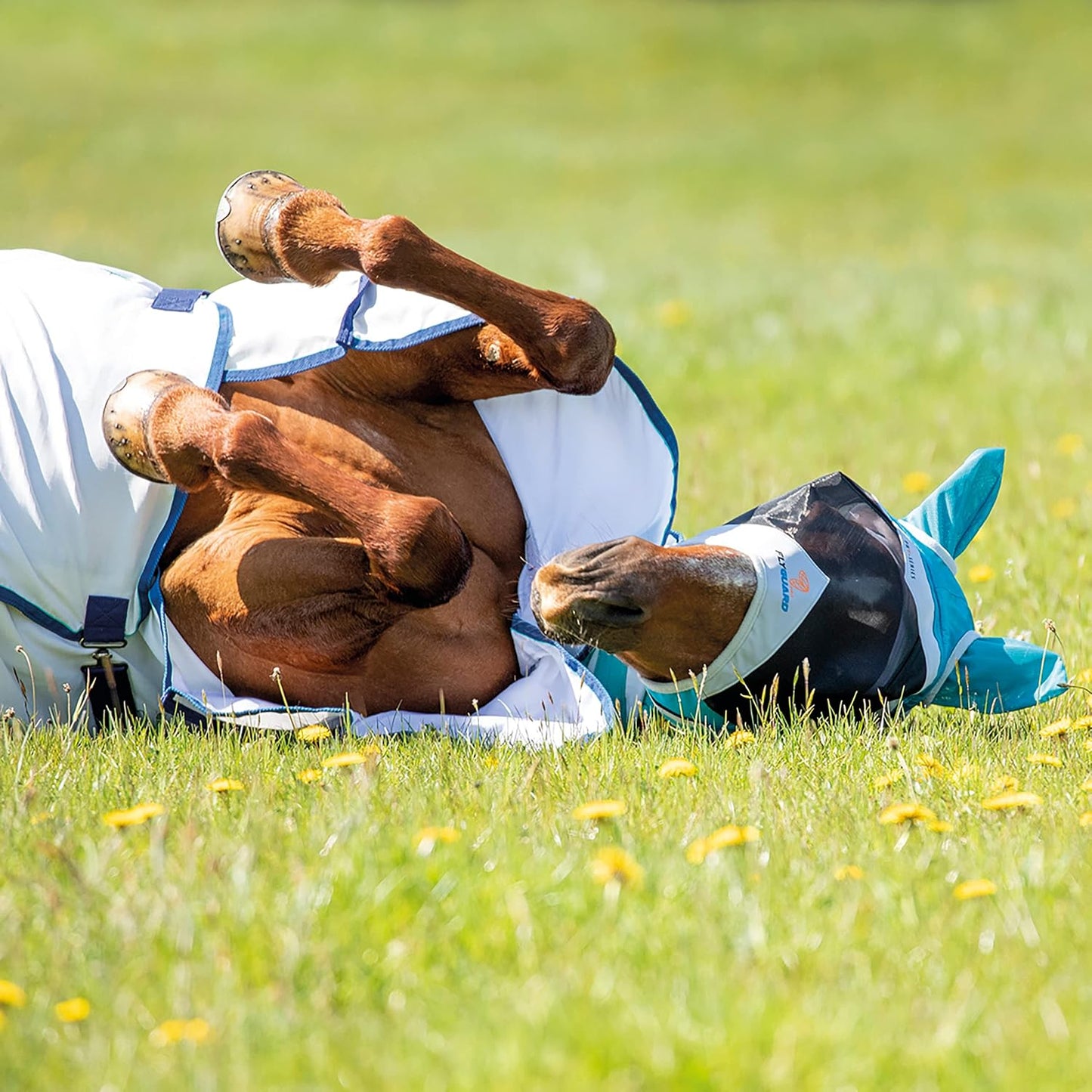 Shires Fine Mesh Horse Equine Fly Mask with Ears 60% UV Protection (Small Pony, Teal)
