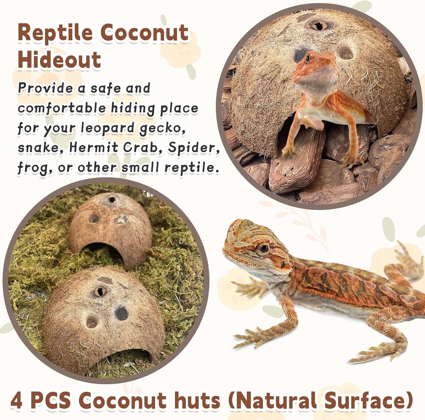 PINVNBY Natural Coconut Reptile Hideouts Lizard, Coco Hut Hermit Crab Hut Aquarium Fish Hide Cave for Small Reptile Crested Gecko Leopard Gecko Spider Snail Climber Toys (4 PCS Natural Surface)