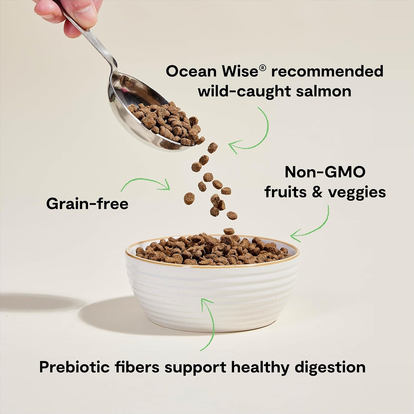 Open Farm, Grain Free Dry Cat Food, High-Protein Kibble for a Complete & Balanced Diet, Non-GMO Fruits & Vegetables, Prebiotic Fibers to Support Digestion, Wild-Caught Salmon Recipe, 4lb Bag