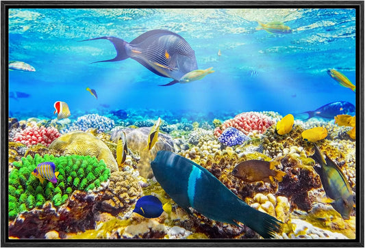 wall26 Framed Canvas Print Wall Art Sunlight Ocean Sea Coral Reef Anemone Fish Nature Animals Realism Rustic Scenic Landscape Wilderness Earth for Living Room, Bedroom, Office - 24"x36" Black